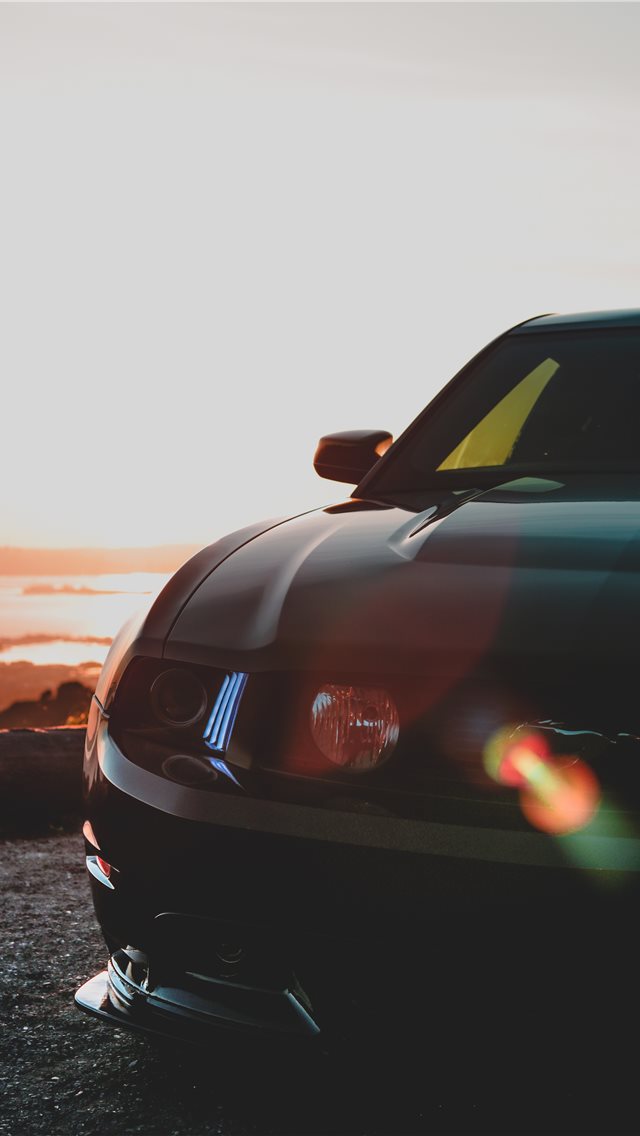 Mustang Iphone Wallpaper - Mustang Logo Wallpaper Iphone X - HD Wallpaper 