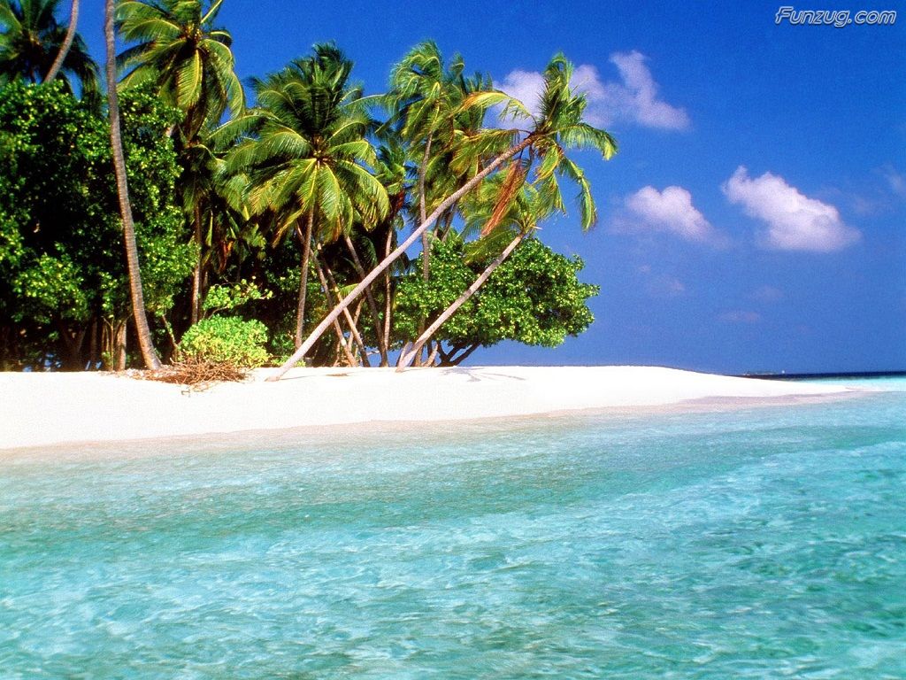 Click To Enlarge - Beach Wallpaper Tropical Island - HD Wallpaper 