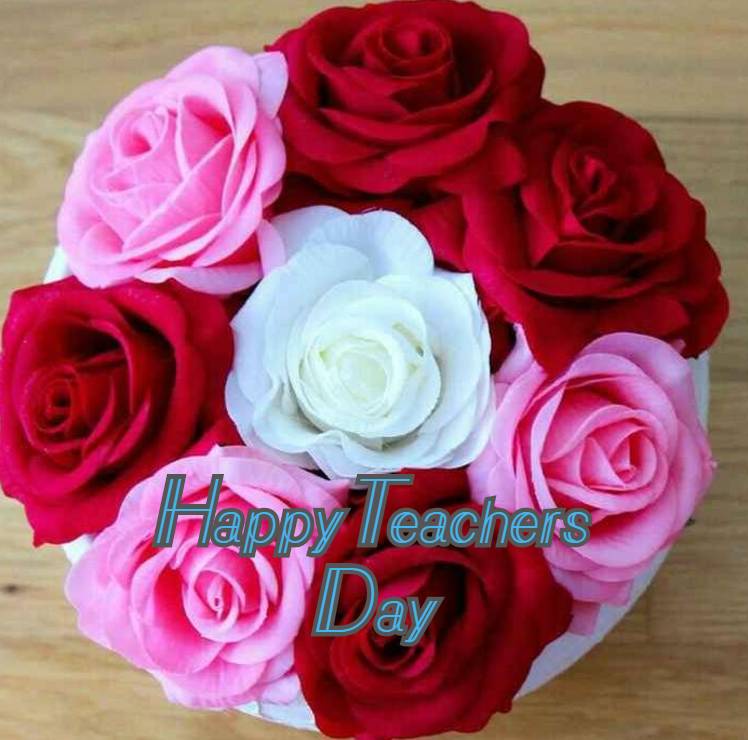 Garden Roses - HD Wallpaper 