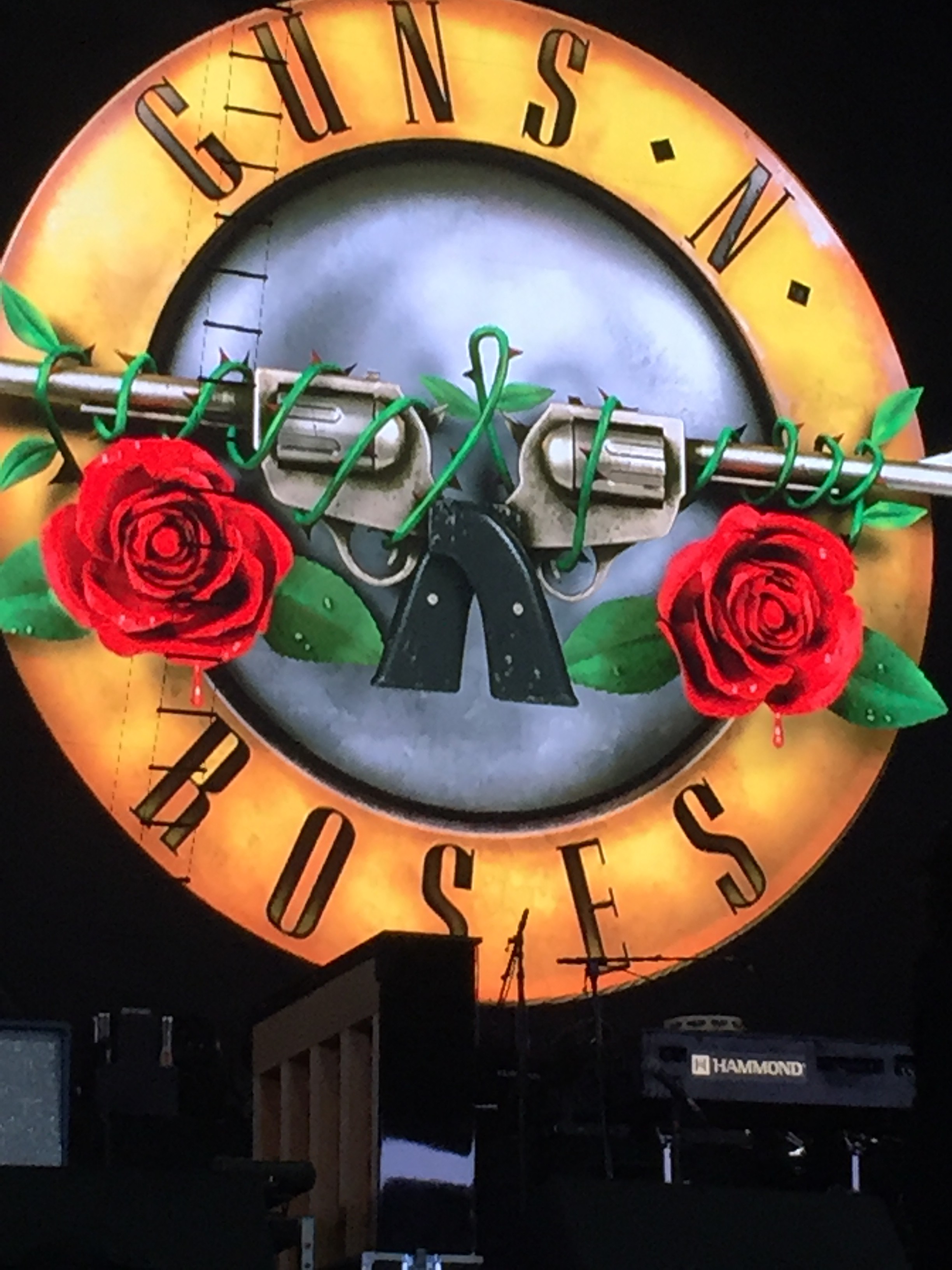 Garden Roses - HD Wallpaper 