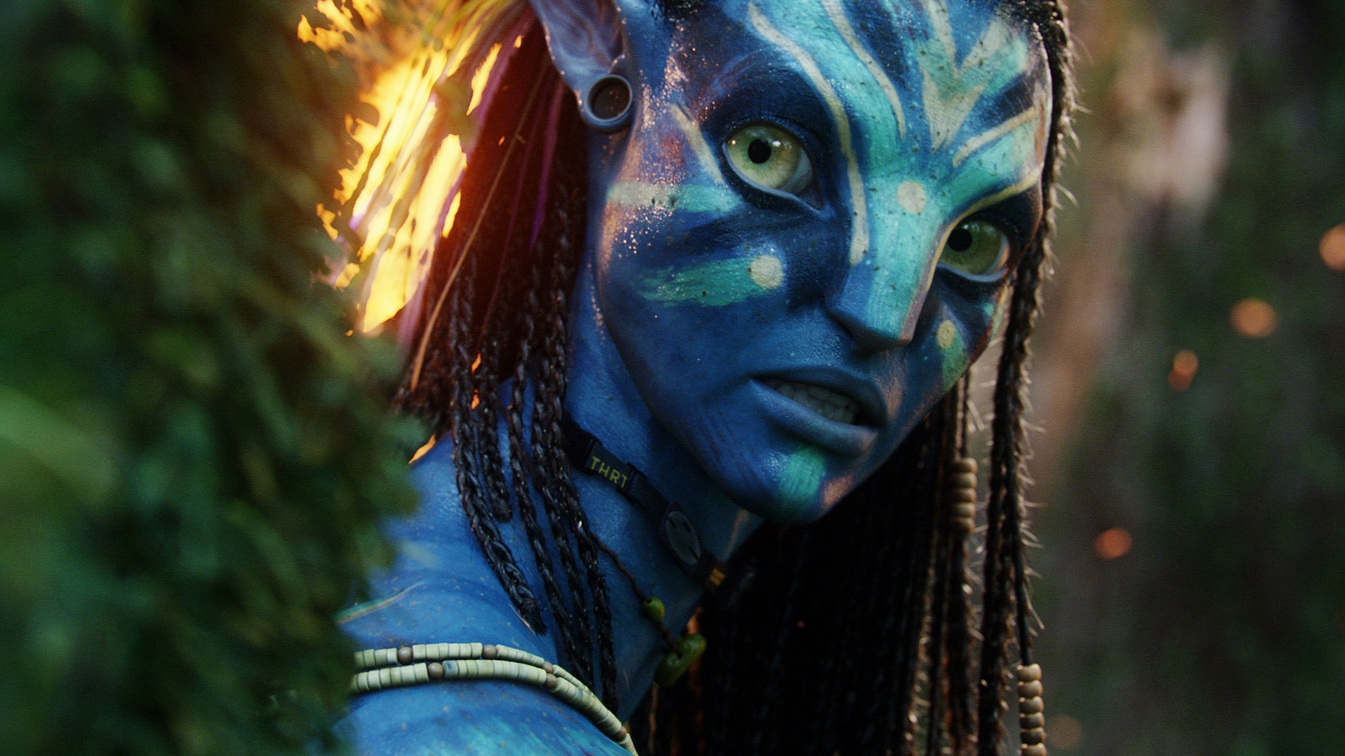 Blue Avatar Movie - HD Wallpaper 