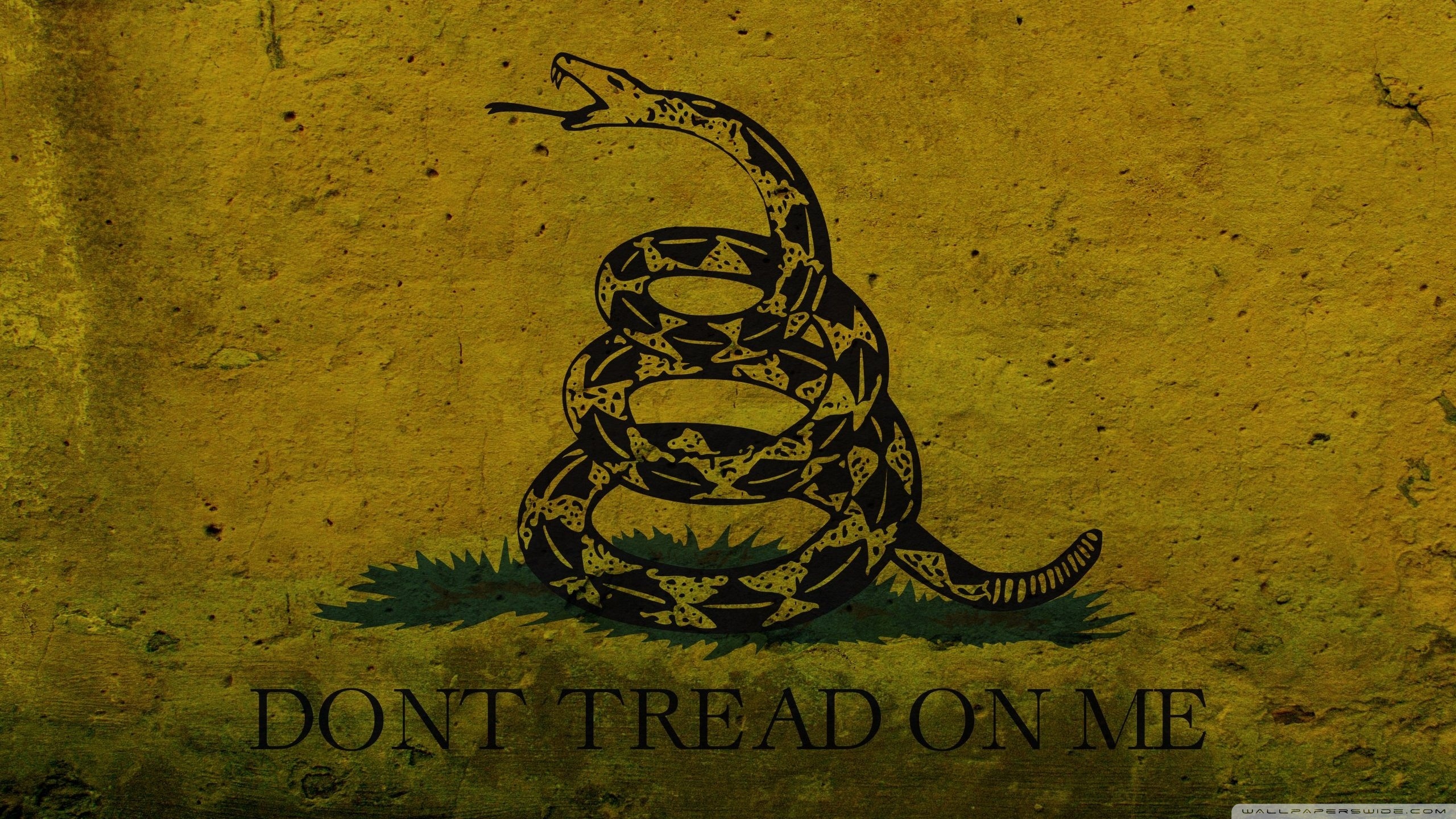 High Resolution Gadsden Flag - HD Wallpaper 