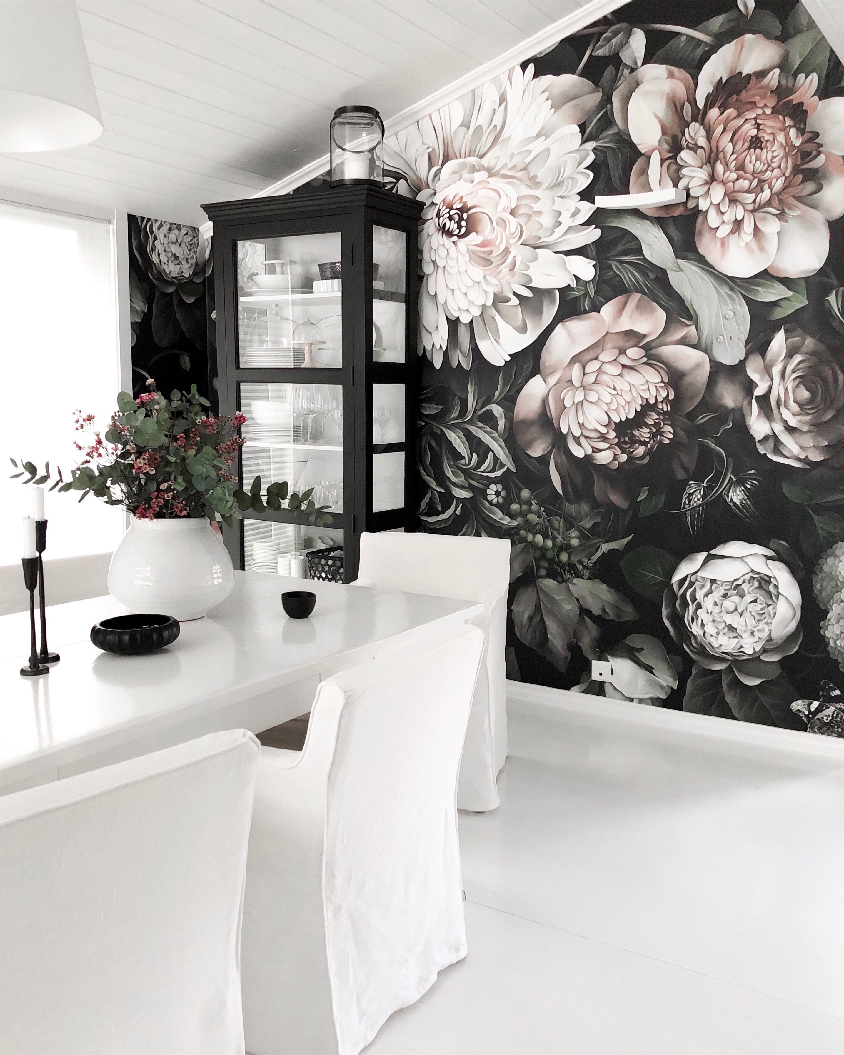 Ellie Cashman - HD Wallpaper 