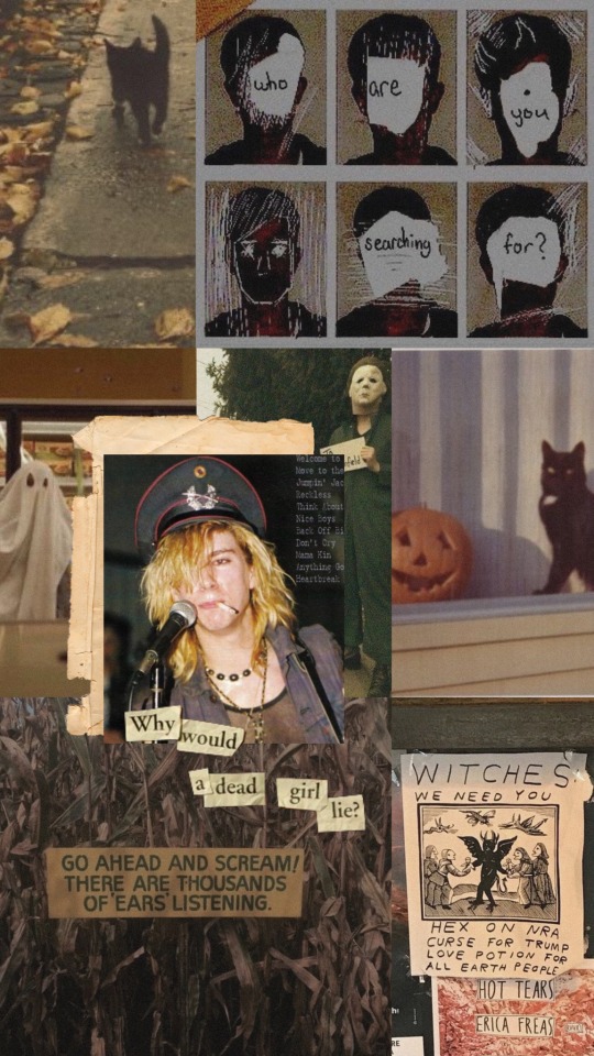 Image - Black Cat - HD Wallpaper 