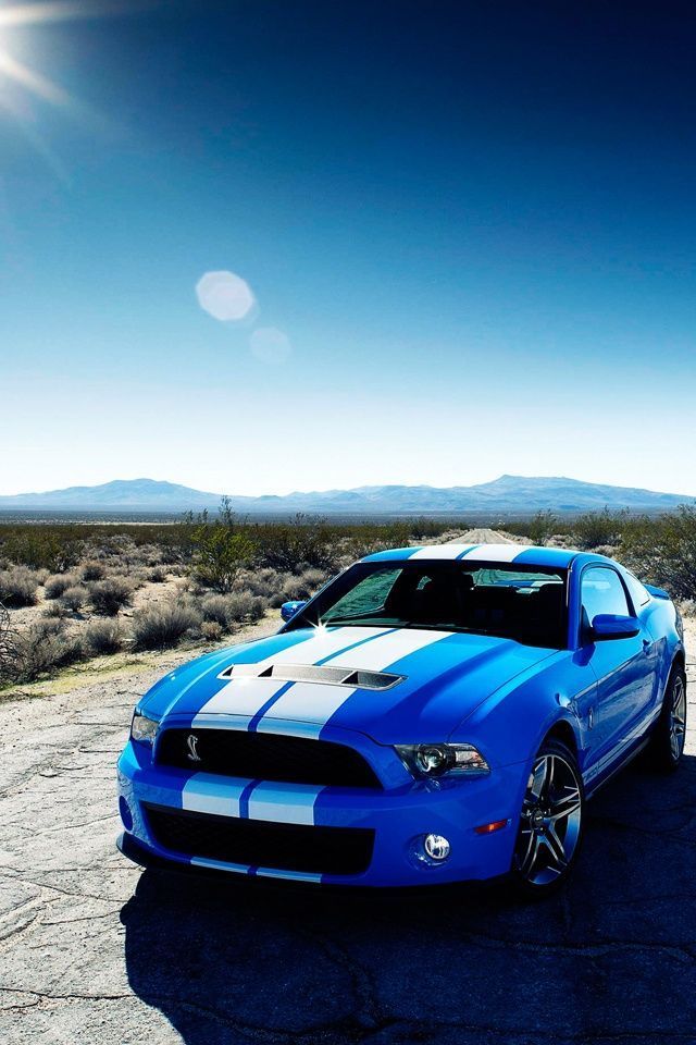 Ford Mustang Gt Automotive Sport Cars Iphone Wallpaper - Cool Car Wallpapers Phone - HD Wallpaper 