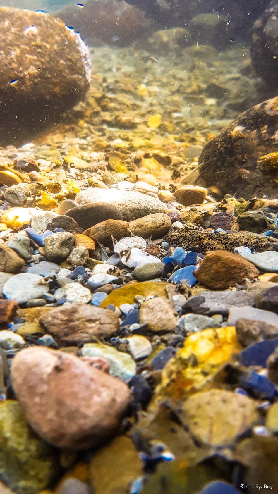 River Stones Under Water Photo Click 4k Ultra Hd Mobile - Stone River Under Water - HD Wallpaper 