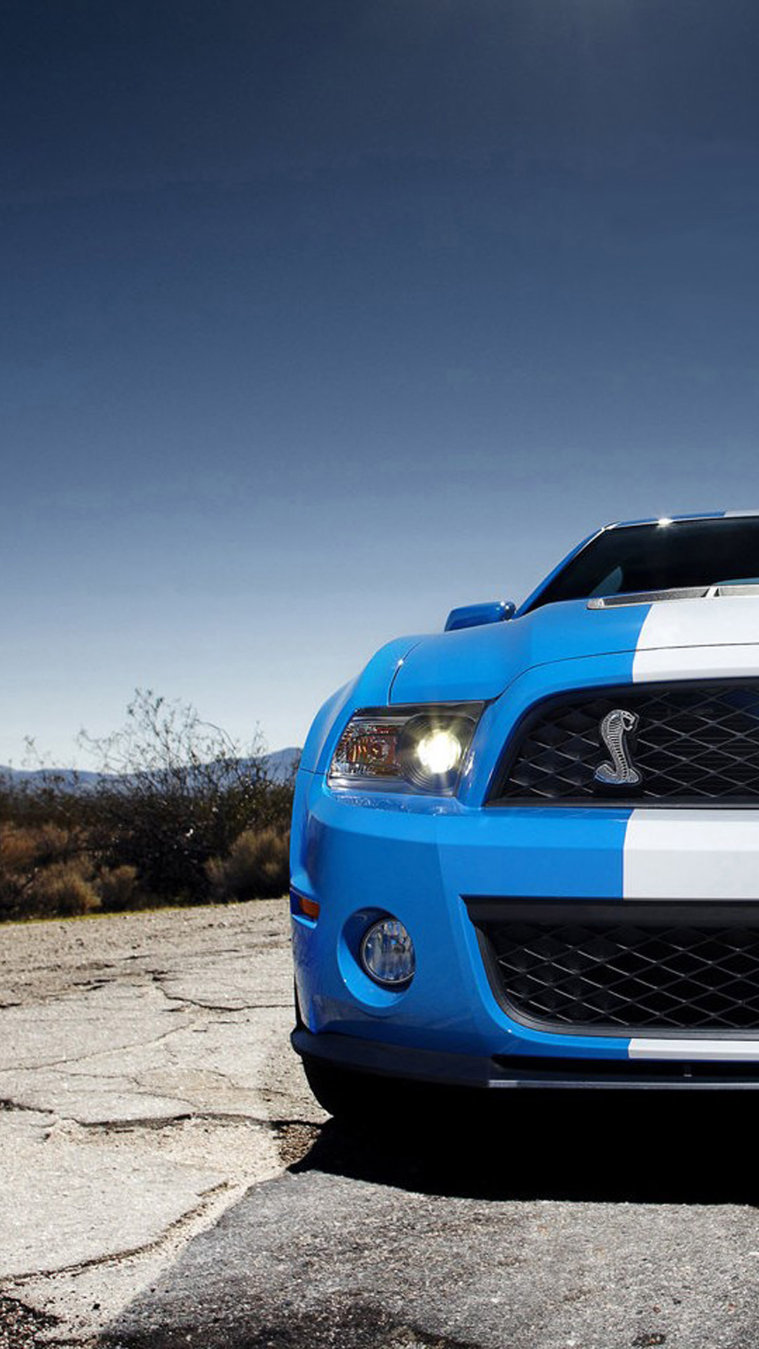 Ford Mustang Hd Wallpaper Iphone - Shelby Gt 500 2010 - HD Wallpaper 