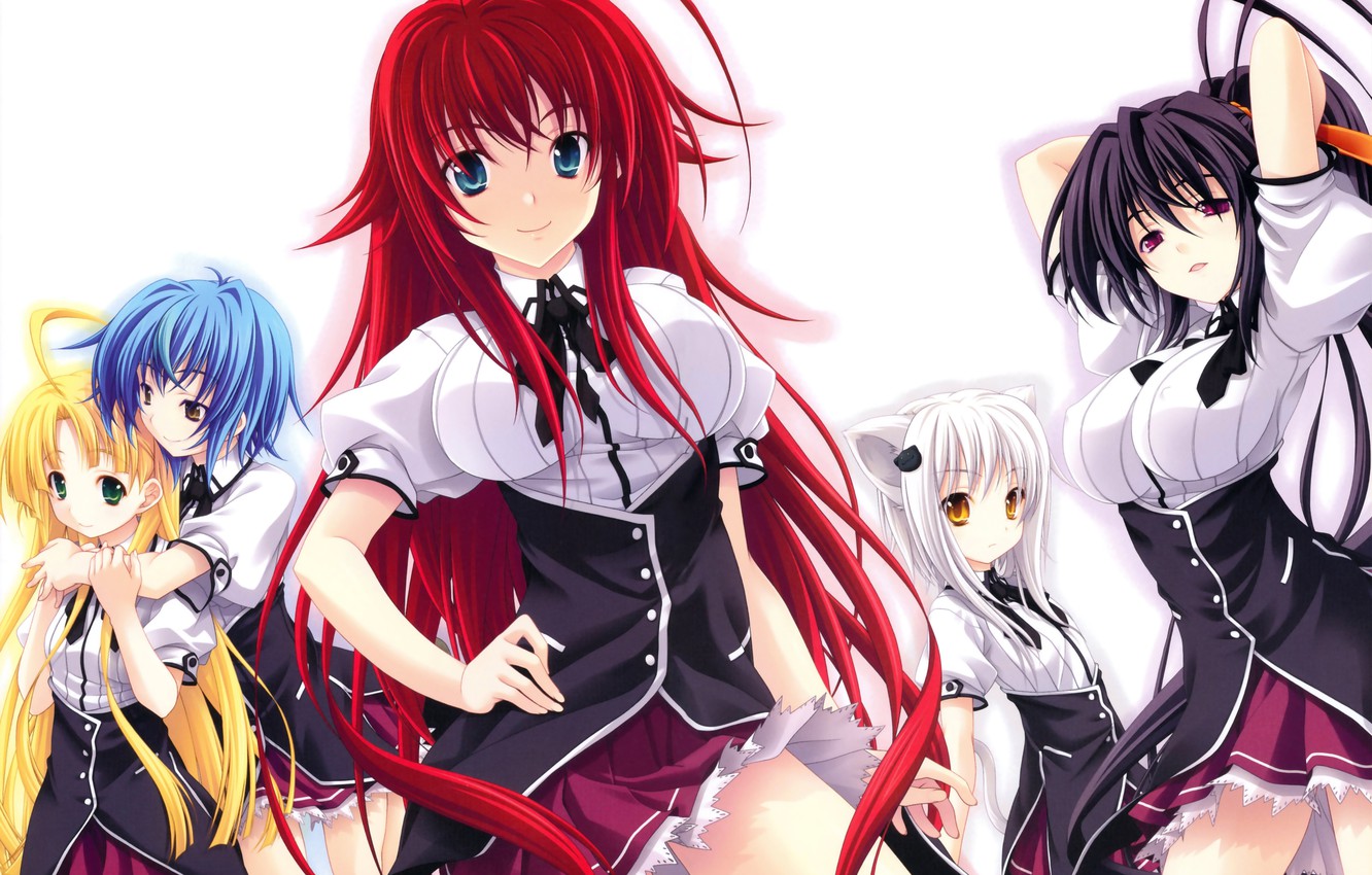 Photo Wallpaper Look, Smile, Anime, Tail, School Uniform, - High School Dxd S4 - HD Wallpaper 