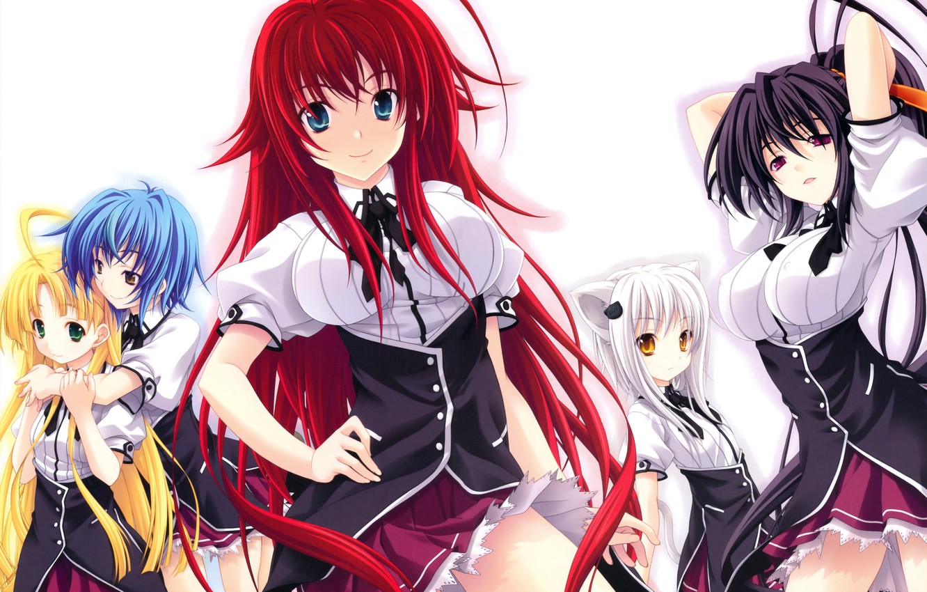 Photo Wallpaper Look, Smile, Anime, Tail, School Uniform, - High School Dxd S4 - HD Wallpaper 