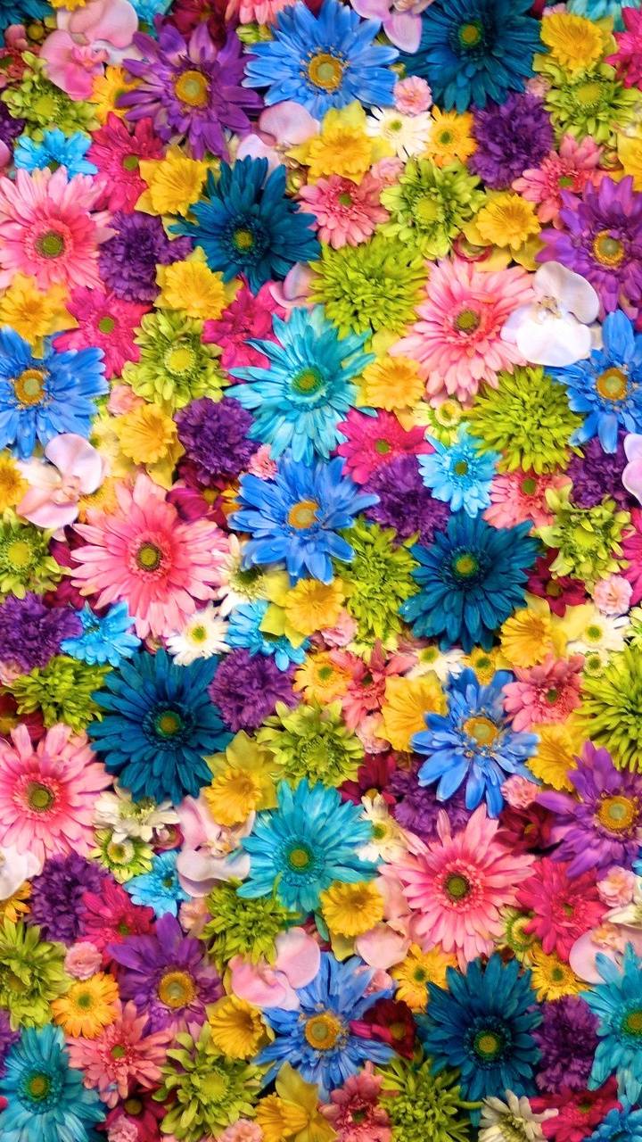 Flower For Phone - HD Wallpaper 