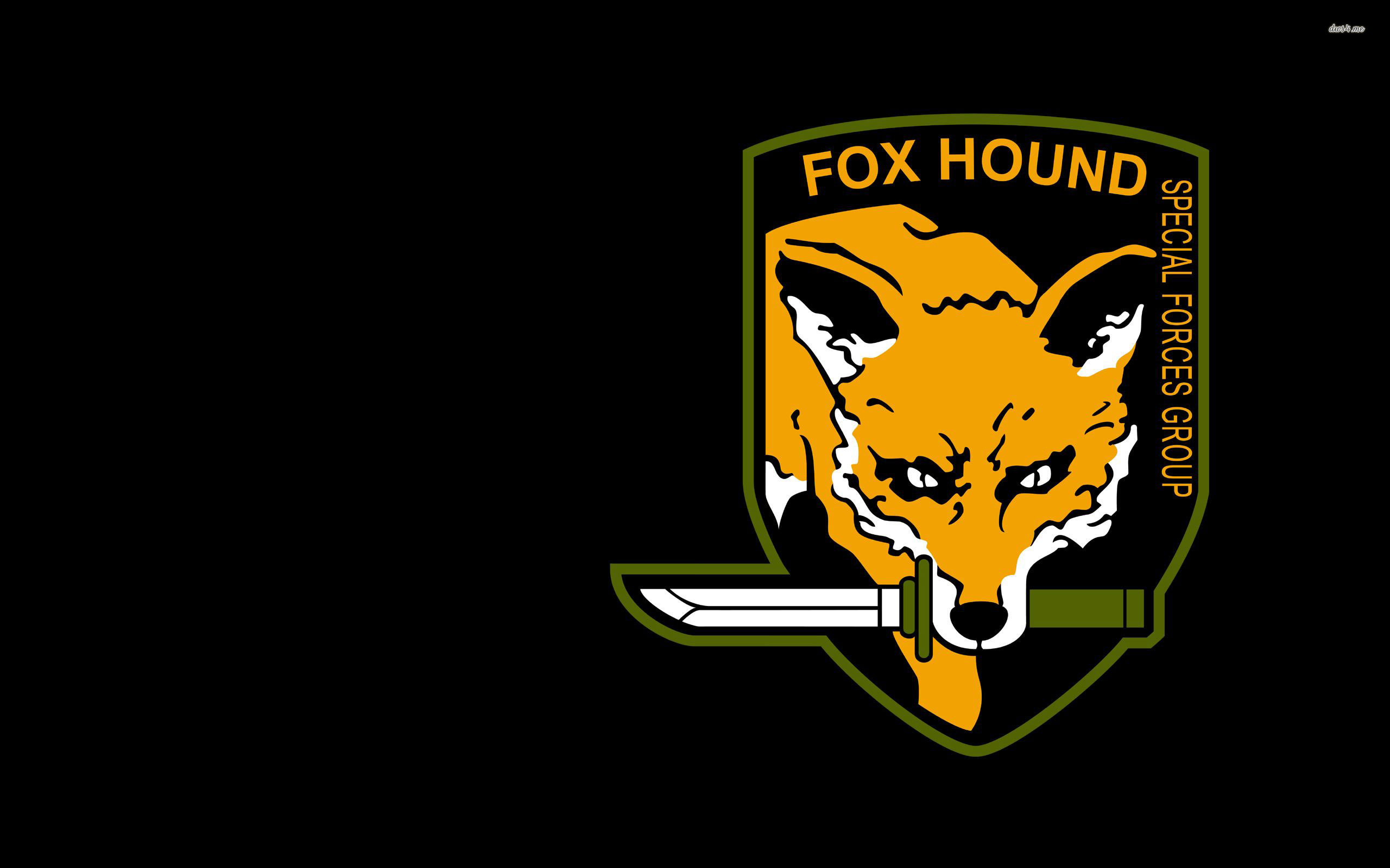 Fox Hound - HD Wallpaper 