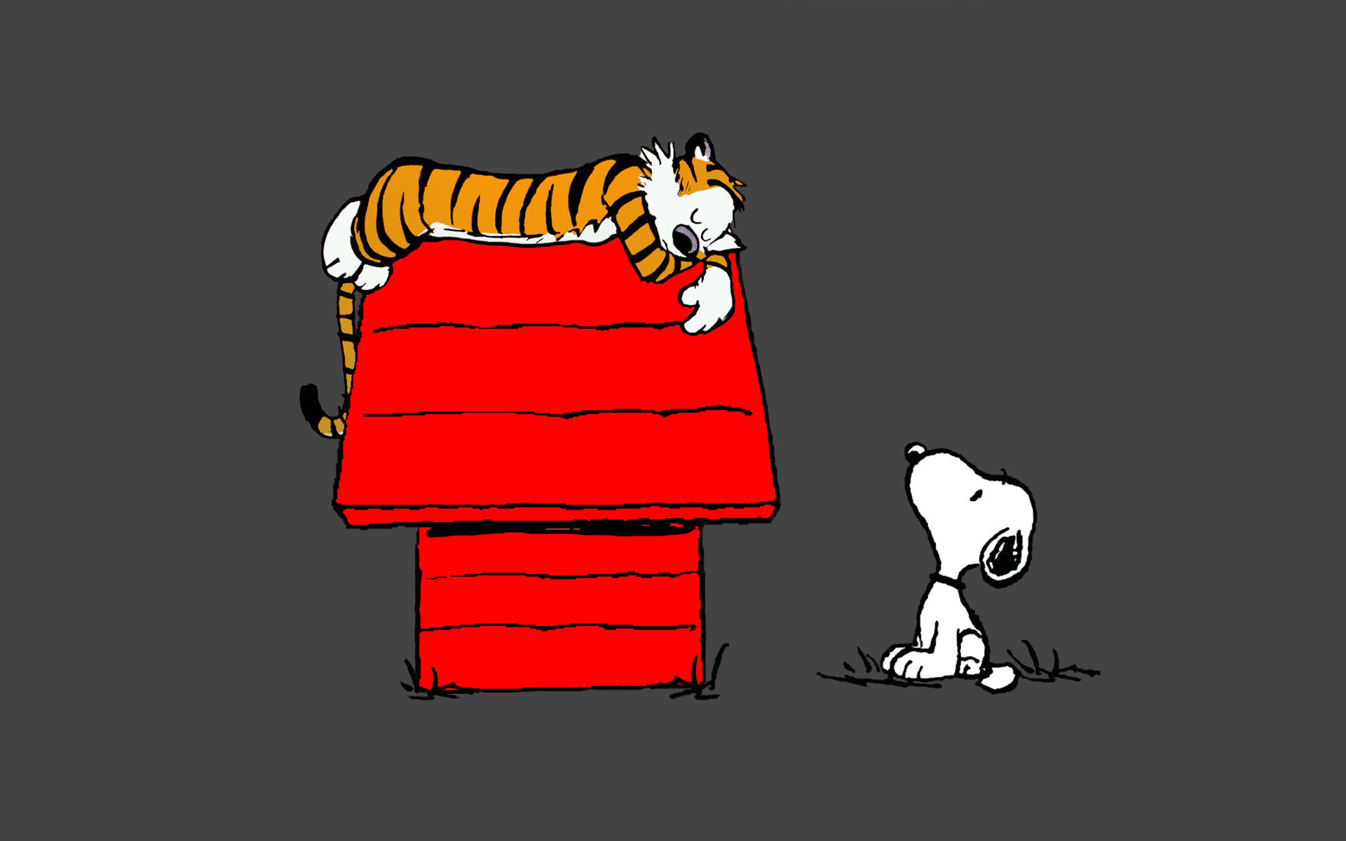 Peanuts Wallpaper For Android Peanuts Tiger Wallpaper Calvin And Hobbes Snoopy 19x10 Wallpaper Teahub Io