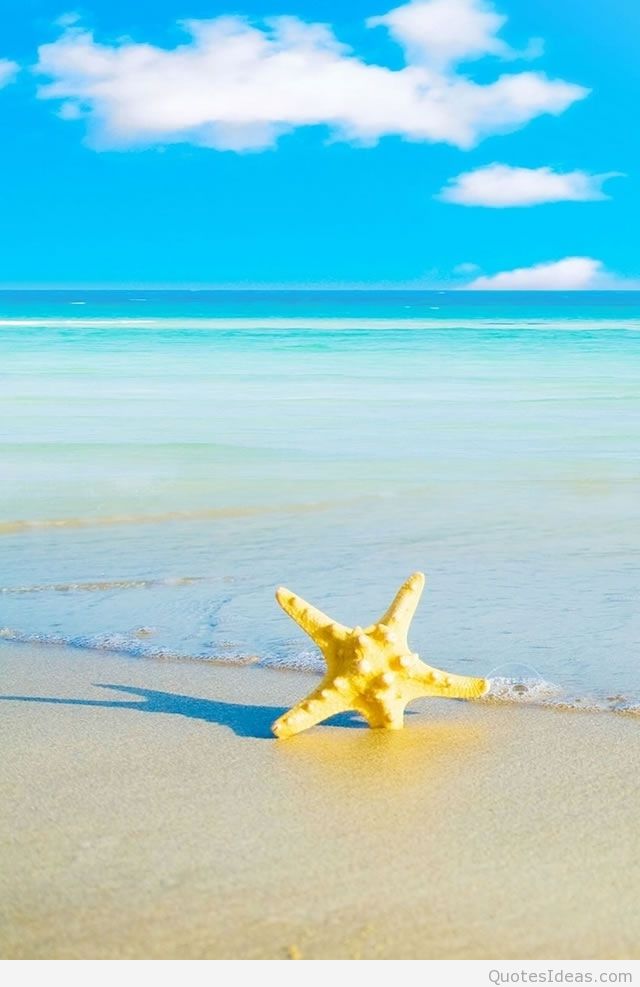 Summer Hd Wallpaper For Iphone - HD Wallpaper 