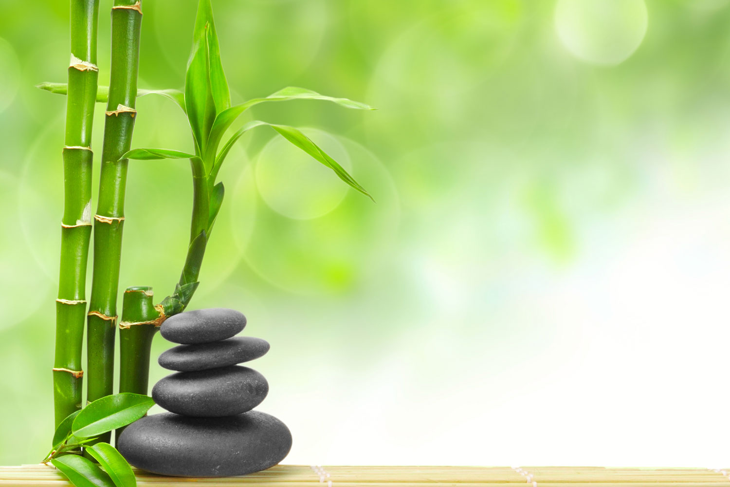Bamboo Zen - HD Wallpaper 