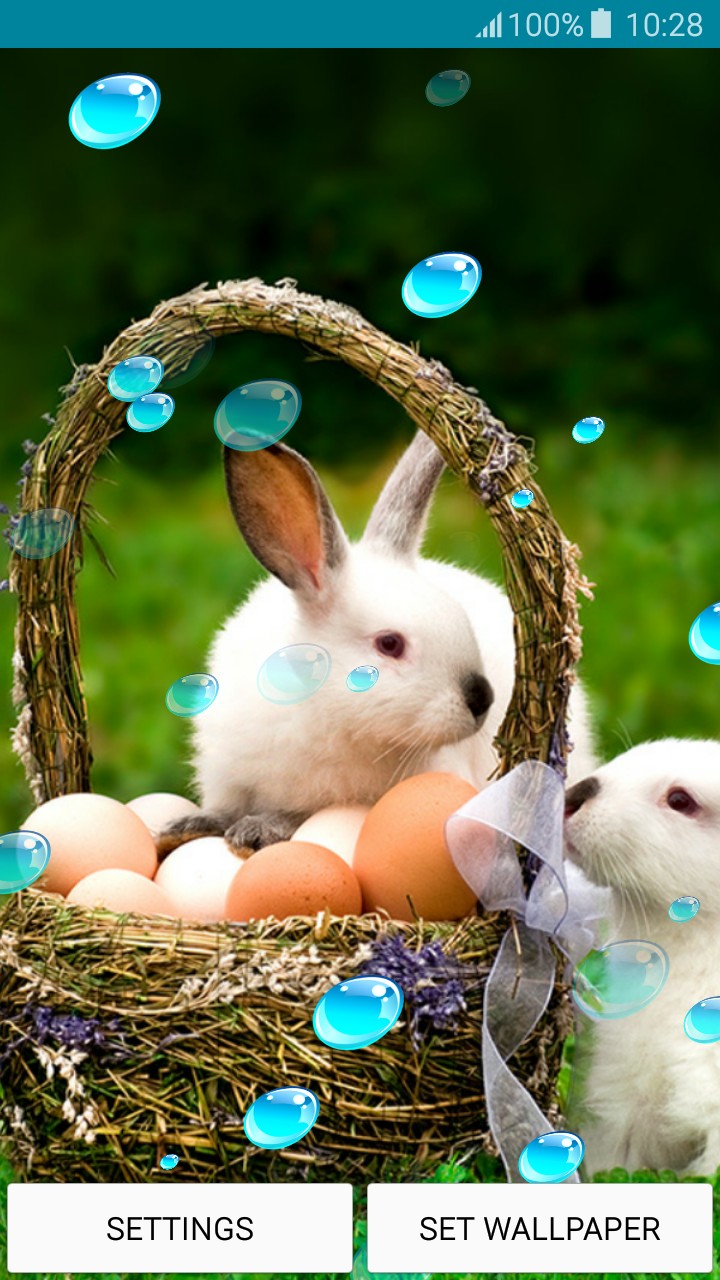 Live Wallpapers - Cute Bunny - Easter - HD Wallpaper 