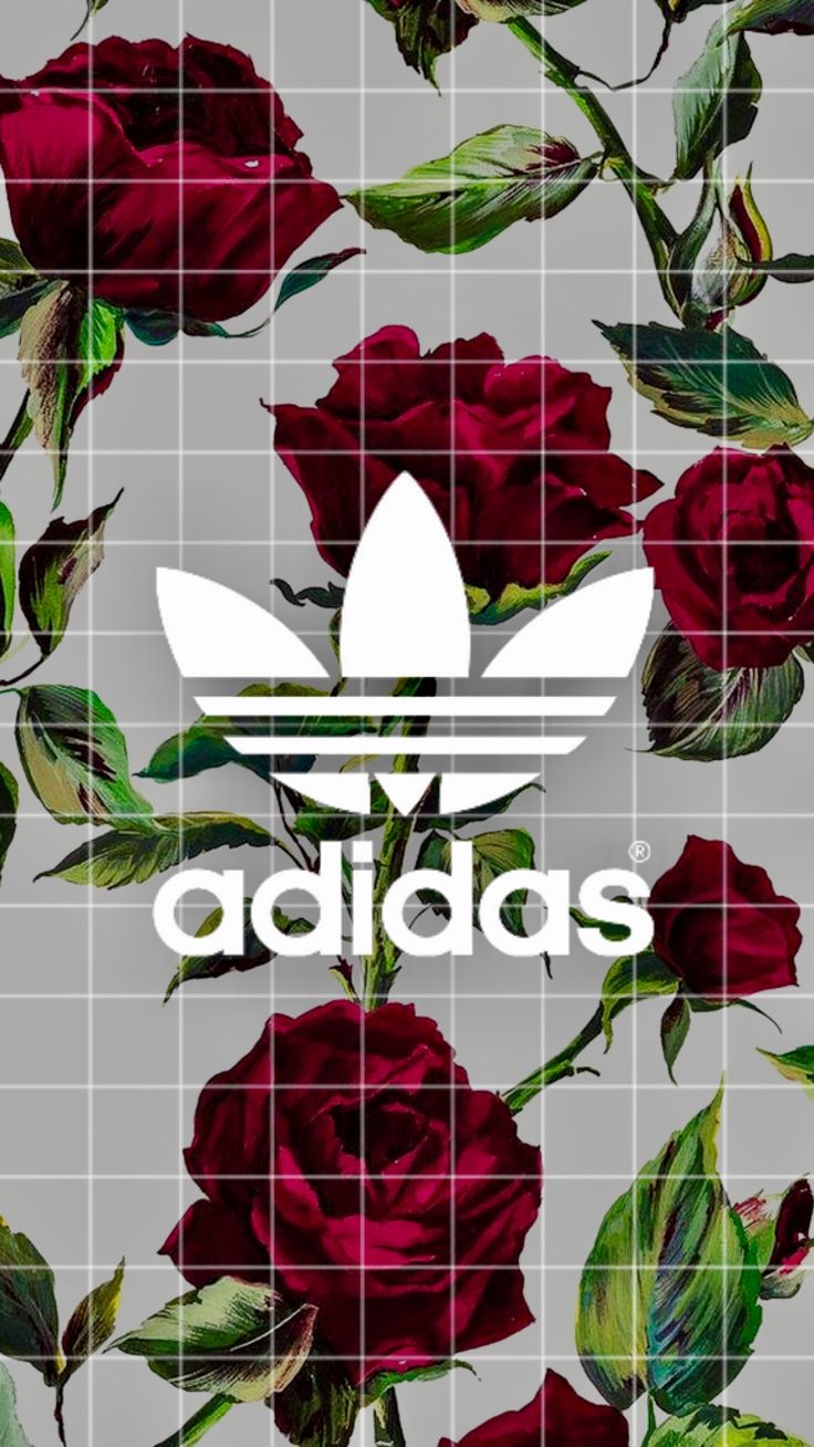 Duvar Kağıtları Telefon Gül - HD Wallpaper 