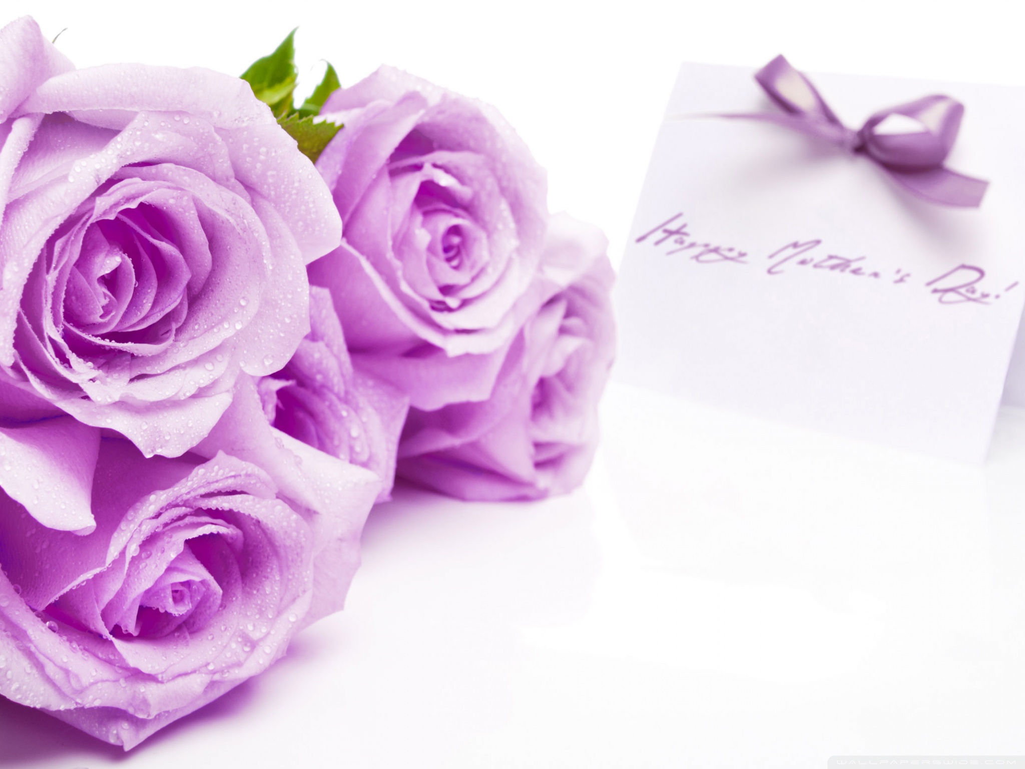 Purple Rose Wallpaper - Happy Women's Day 8 3 - HD Wallpaper 