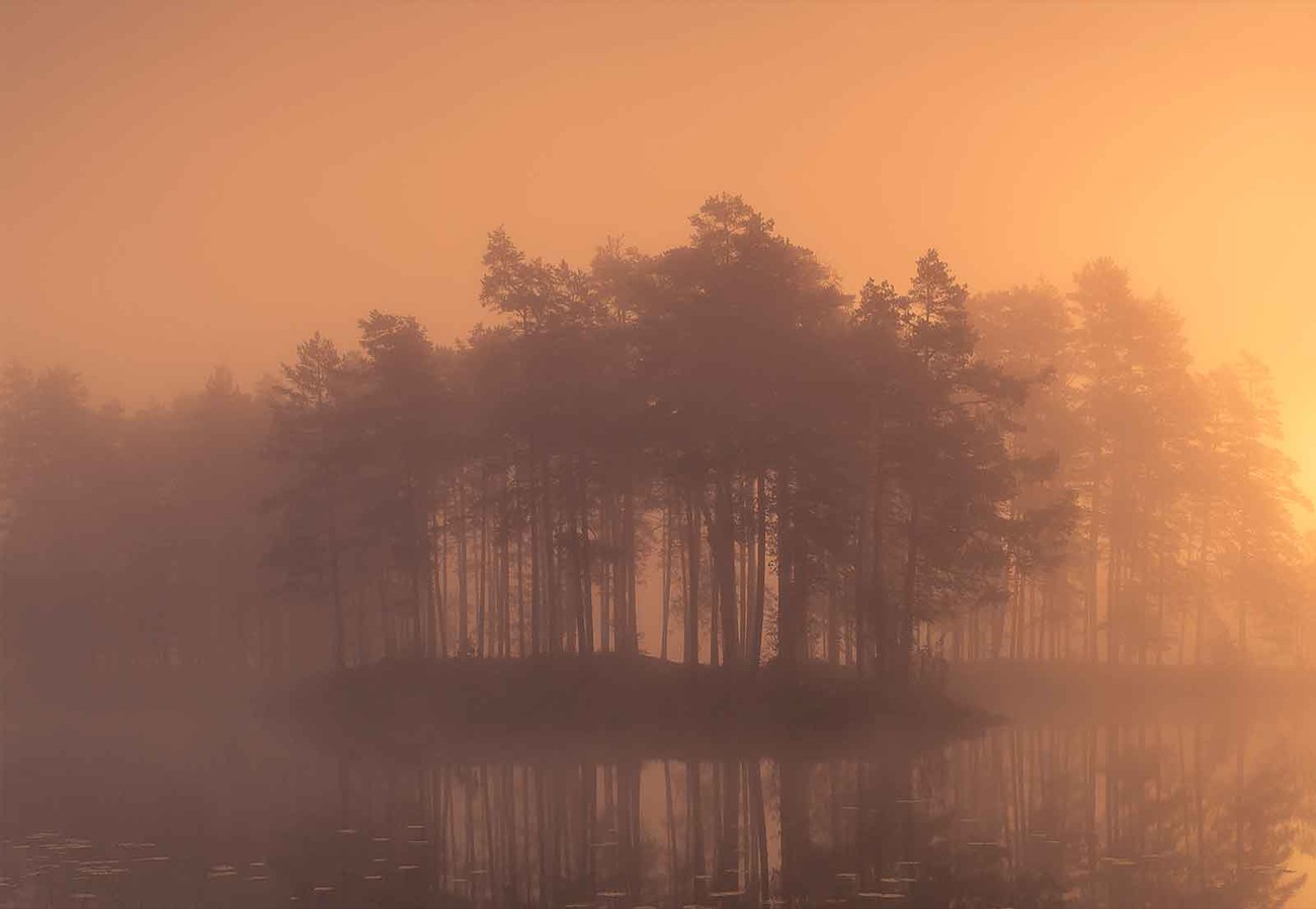 Moody Wallpaper Mural - Mist - HD Wallpaper 