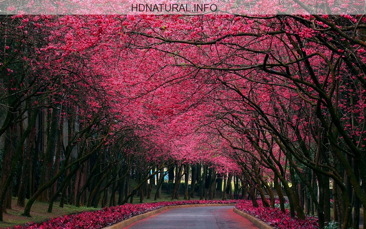 Static Wallpaper - HD Wallpaper 