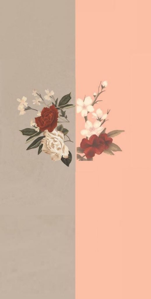 Phone Wallpaper
free Phone Wallpaper Download
flower - Roses Shawn Mendes Album - HD Wallpaper 