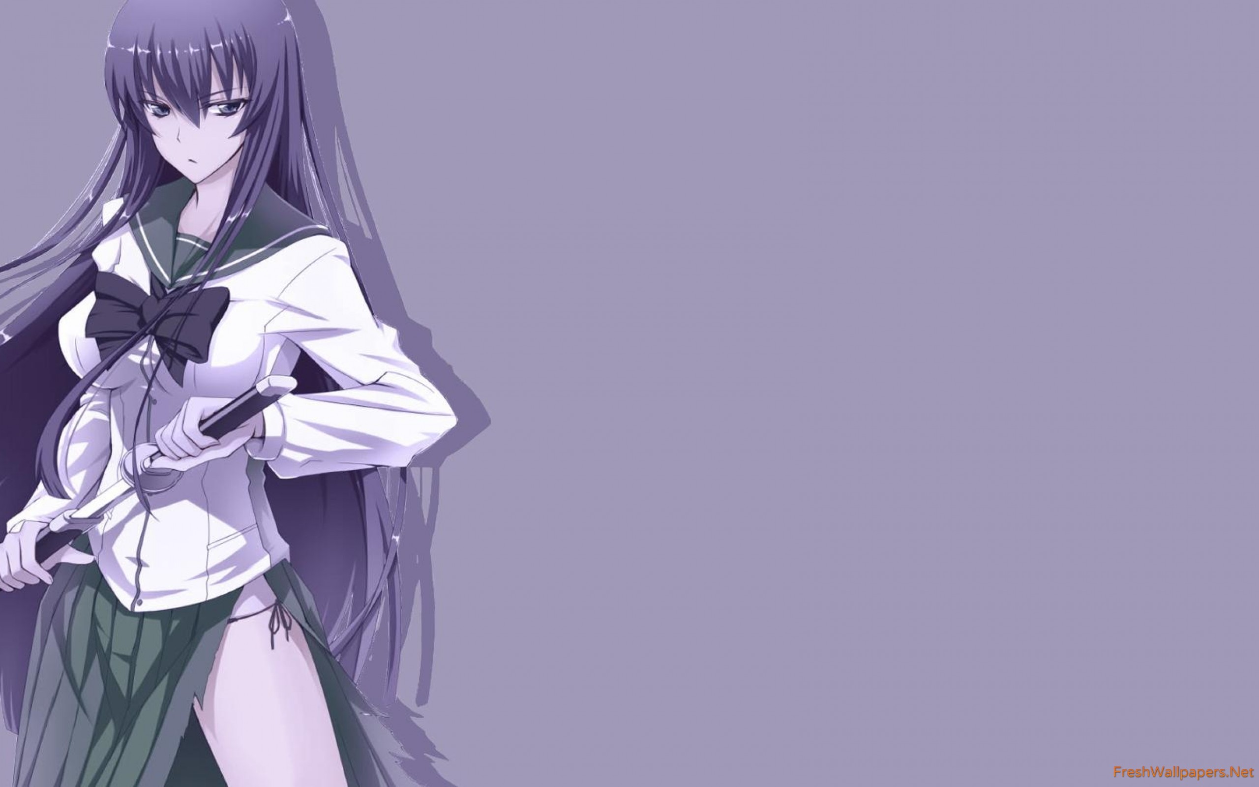 High School Of The Dead - HD Wallpaper 