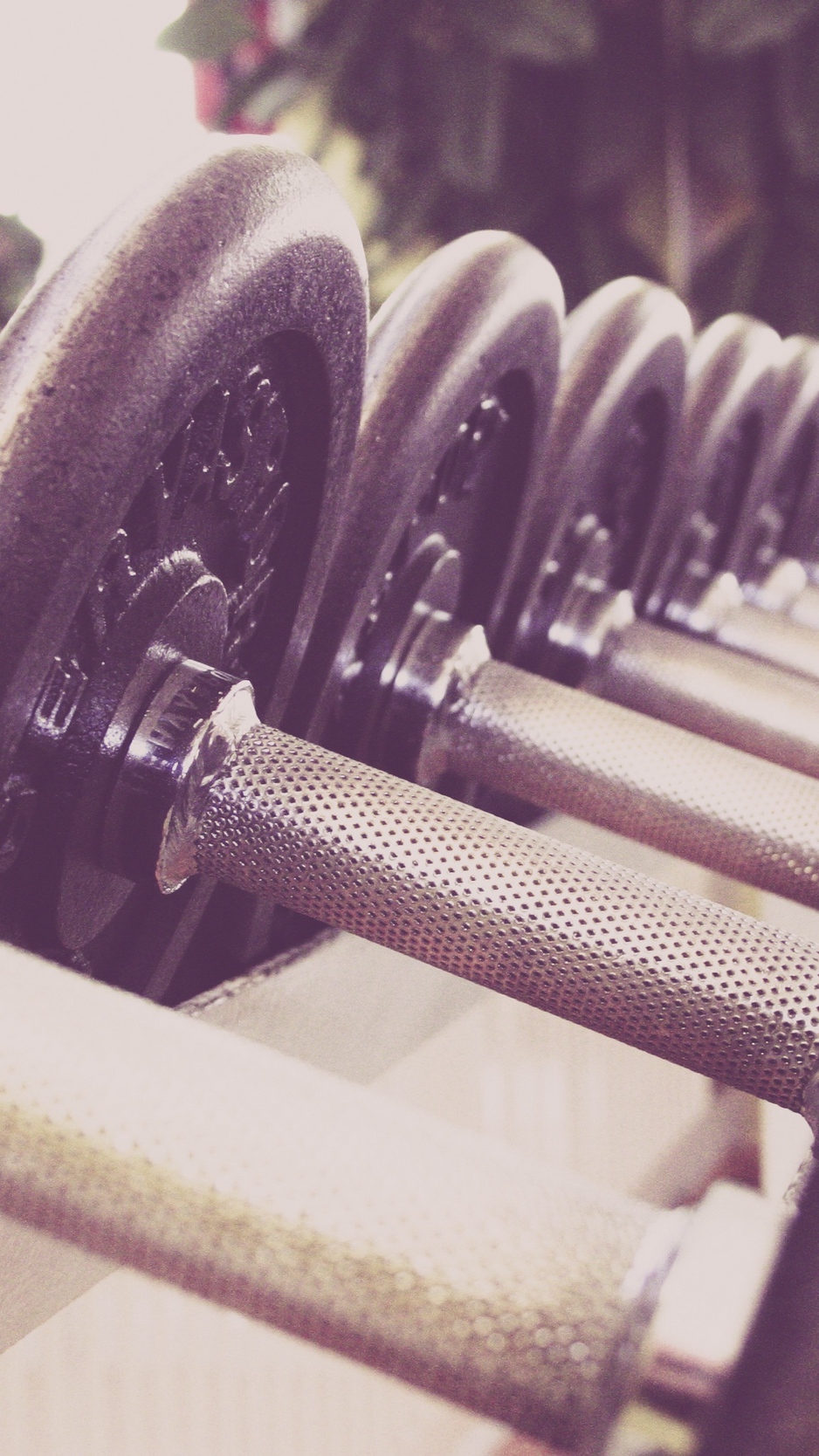 Wallpaper Dumbbells, Sports, Gym - Обои На Айфон Спорт - HD Wallpaper 