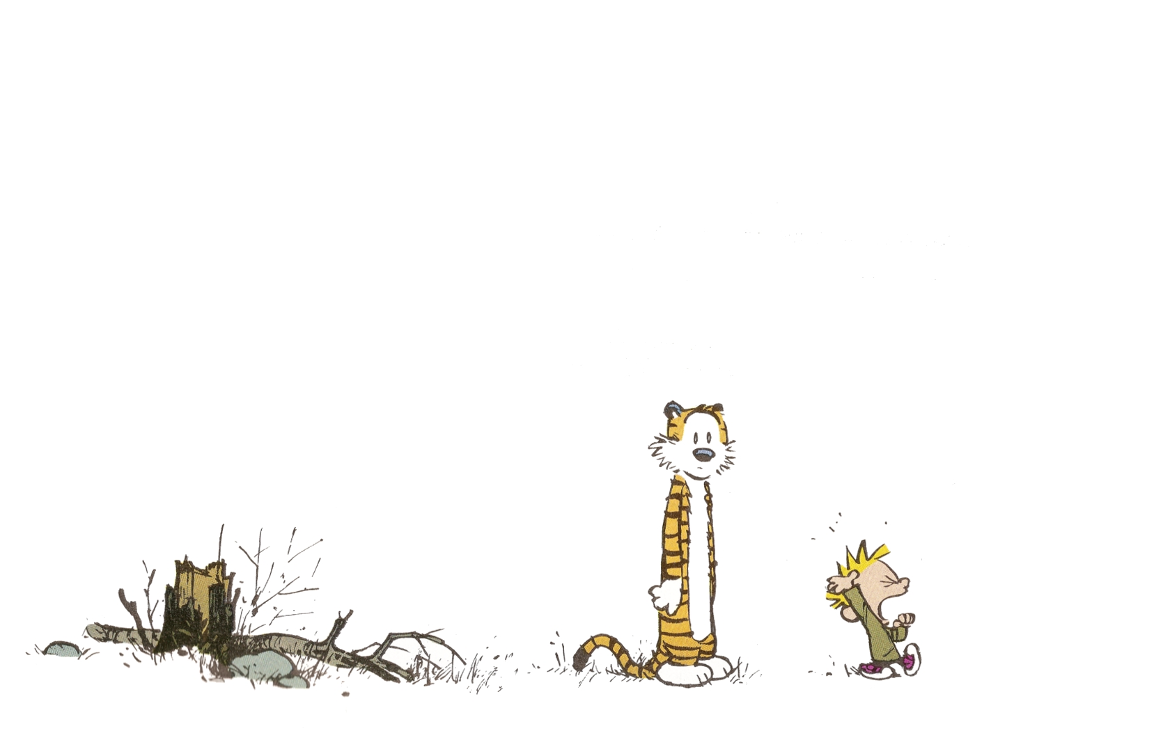 Calvin And Hobbes Wishes Strip - HD Wallpaper 