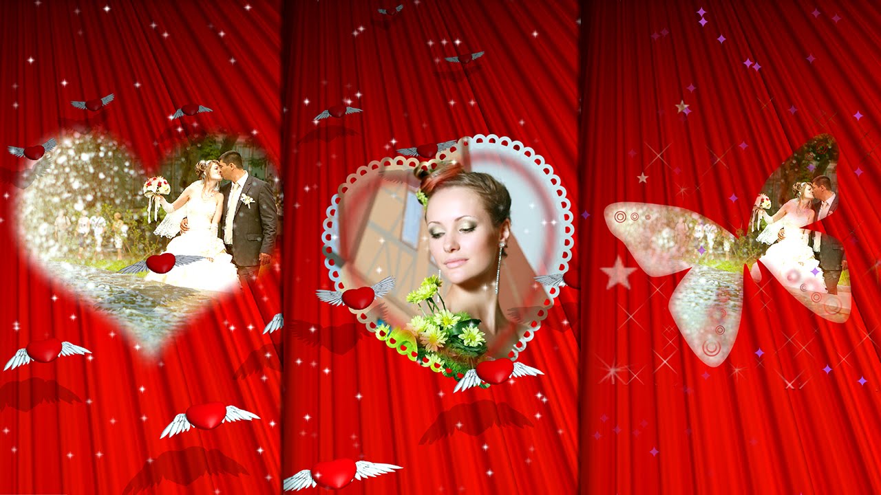 Cut Flowers - HD Wallpaper 