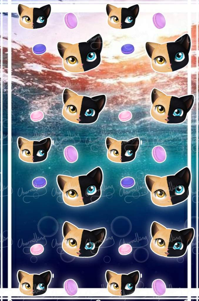 User Uploaded Image - Owl - HD Wallpaper 