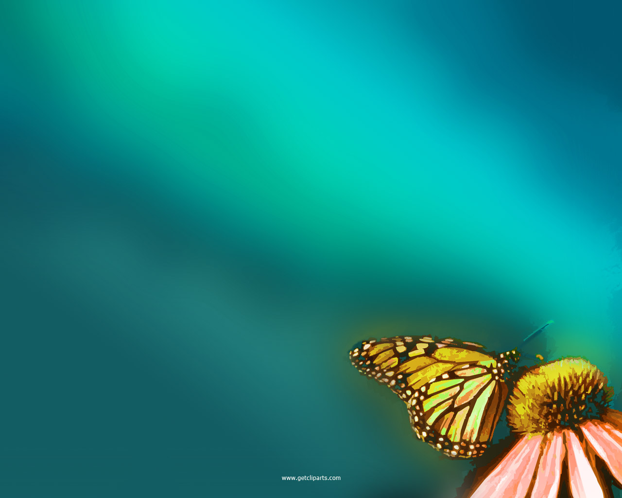 Information About Butterfly For Class 4 - HD Wallpaper 