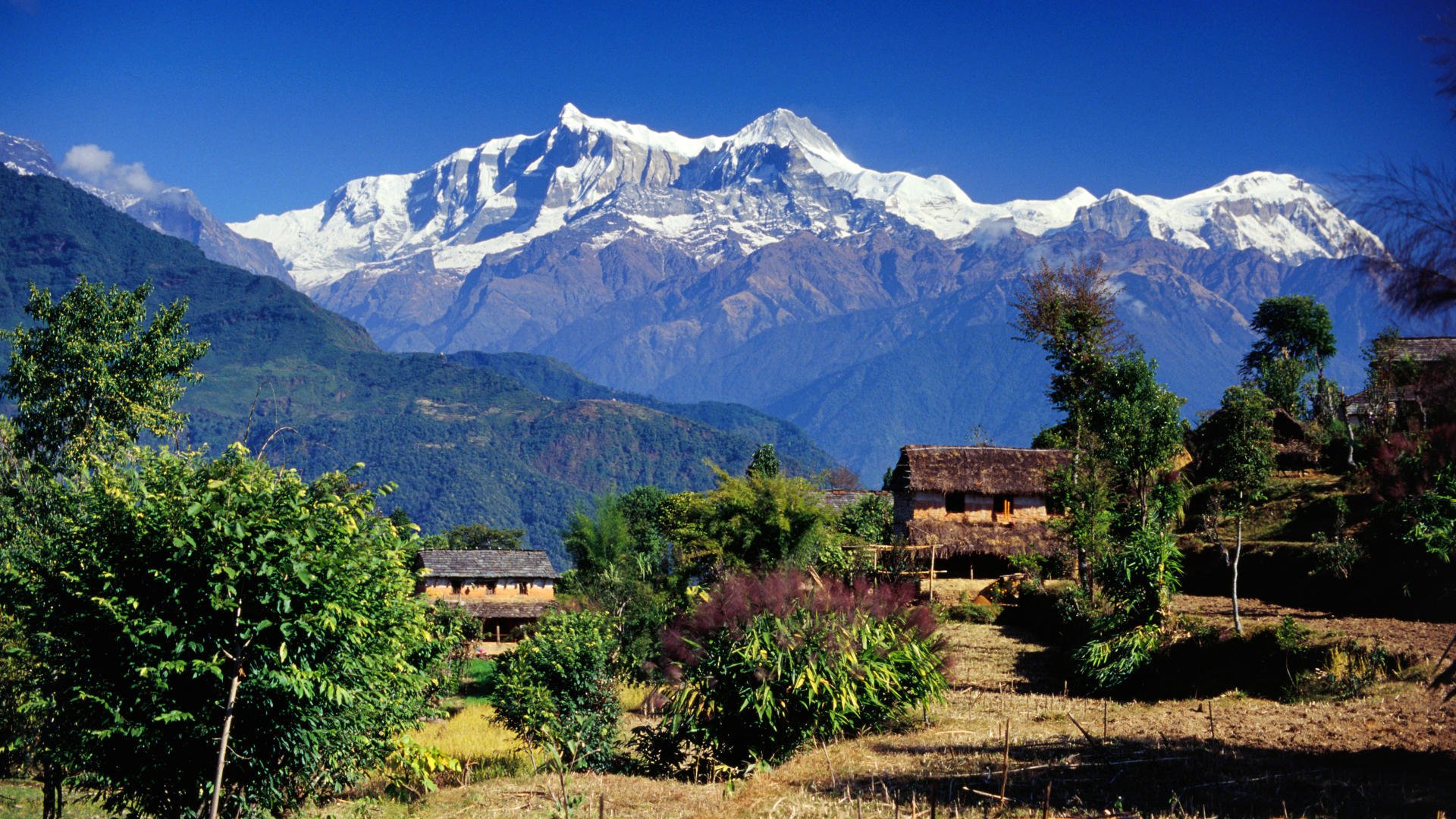 Spring Season In Nepal - HD Wallpaper 