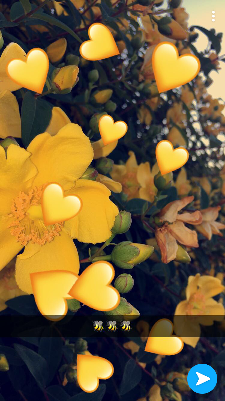 Aesthetic Emojii - HD Wallpaper 