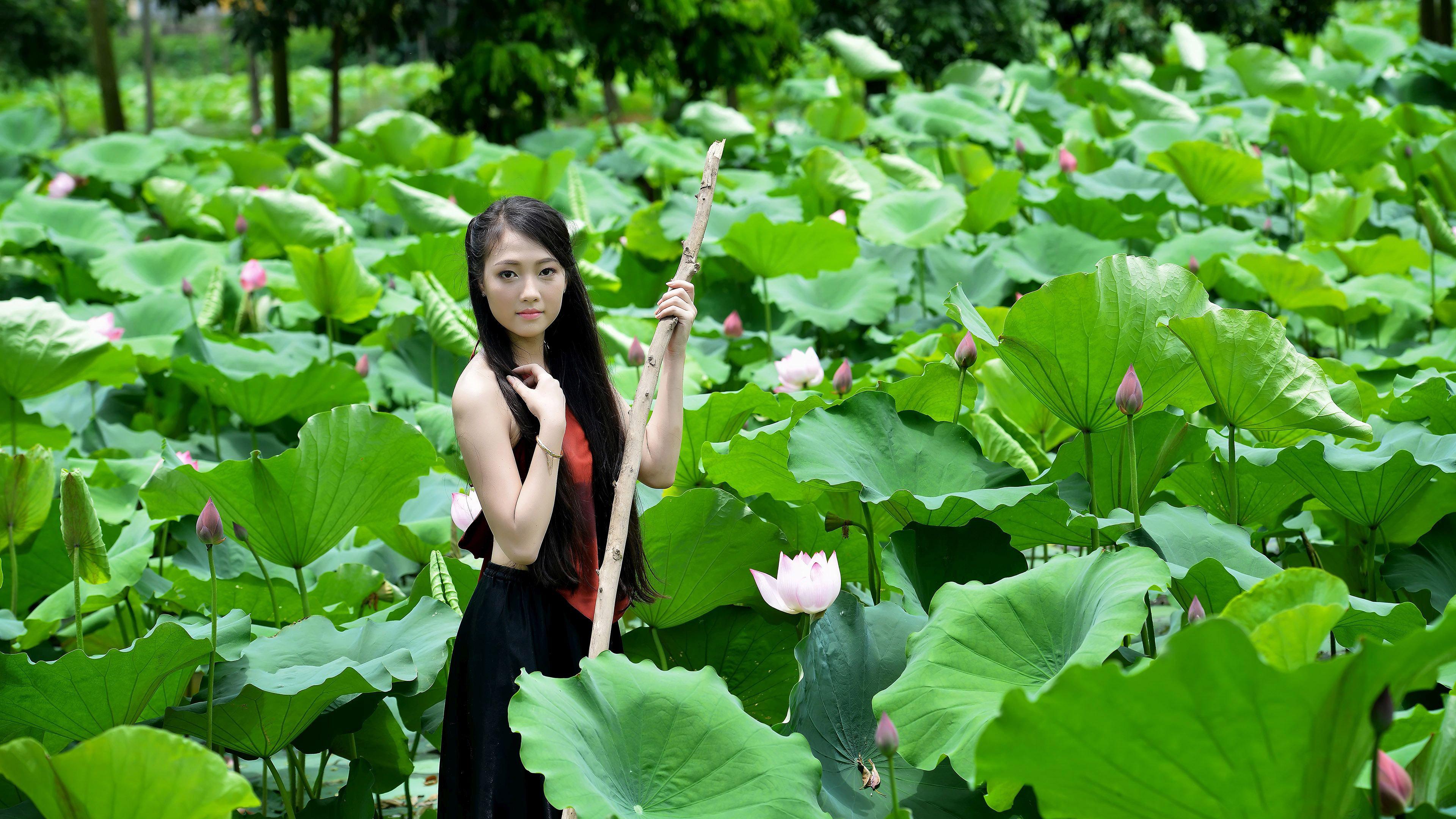 Hd Beautiful Girl In The Lotus Pond Wallpaper - Beautiful Wet Girl With Lotus - HD Wallpaper 
