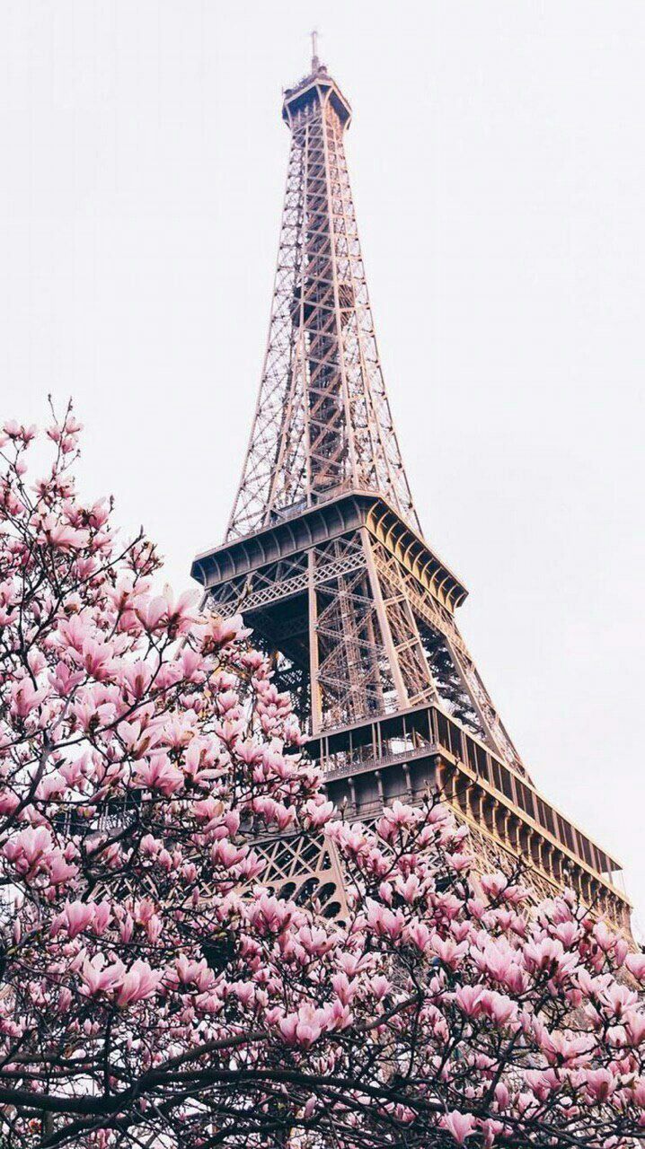 France Eiffel Hotel - HD Wallpaper 
