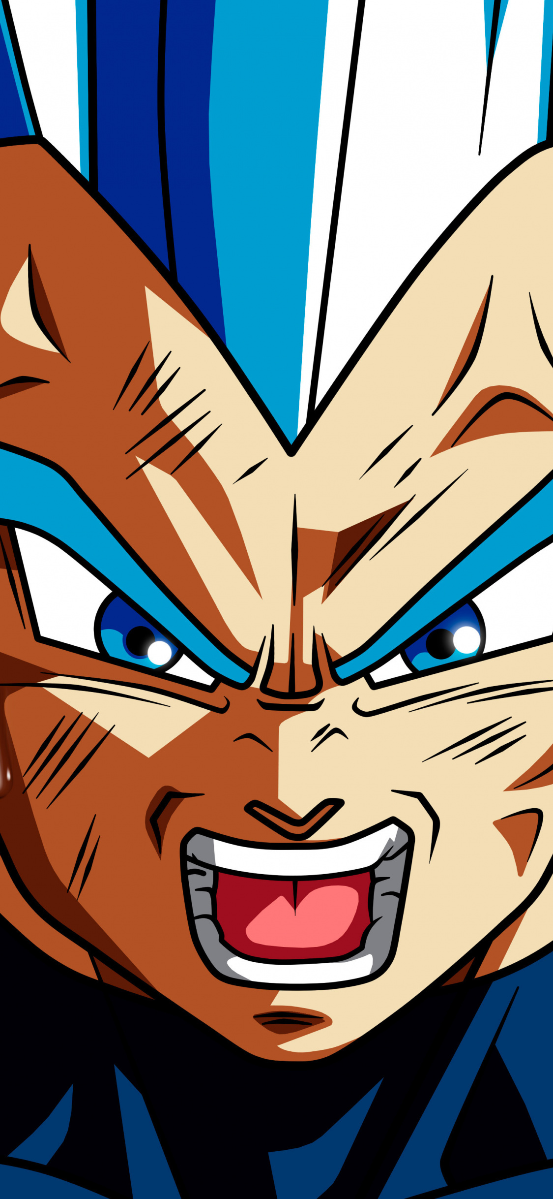 Anime Boy, Dragon Ball Super, Vegeta, Wallpaper - Vegeta Ascended Super Saiyan Blue - HD Wallpaper 