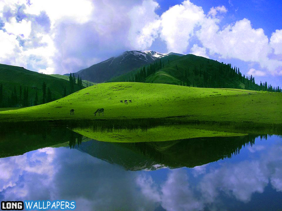 Deosai National Park - HD Wallpaper 