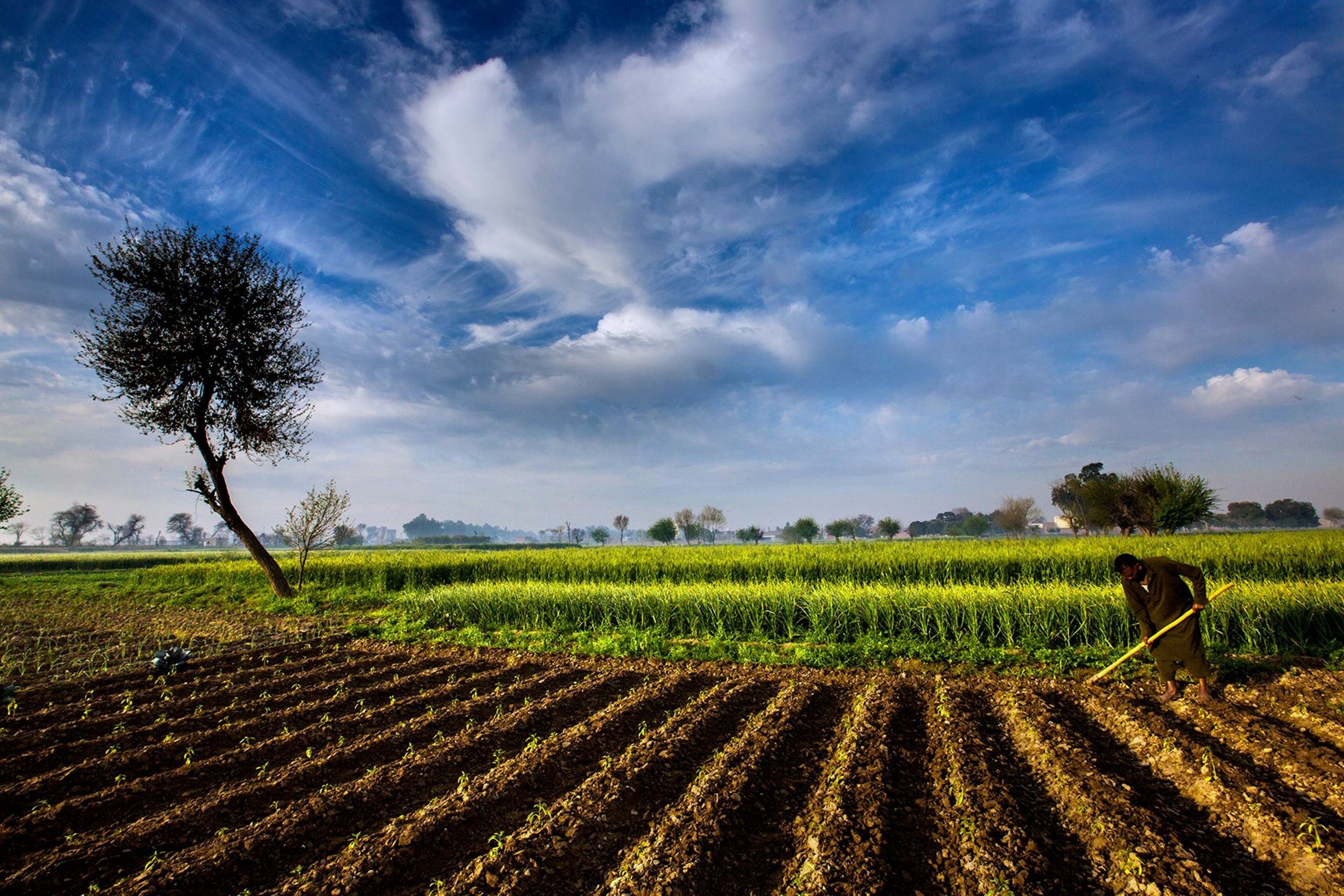People, Field, Countryside, Pakistan, Photos, Nature, - Agriculture In India Backgrounds - HD Wallpaper 