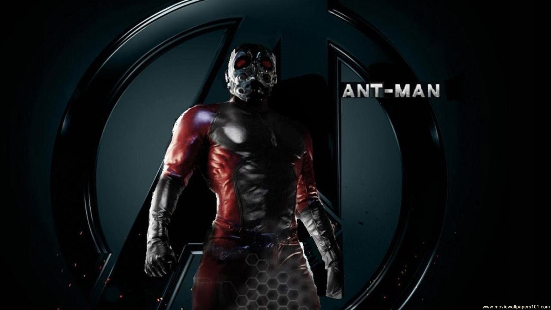 Ant Man 2015 Movie Super Hero Hd Wallpaper 
 Data-src - Avengers Ant Man Wallpaper Hd - HD Wallpaper 