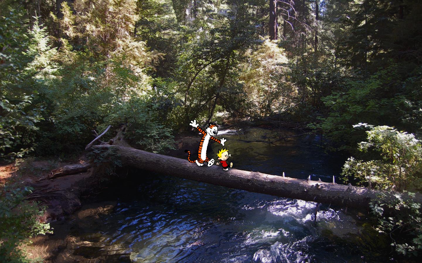 Calvin And Hobbes In Real Life - HD Wallpaper 
