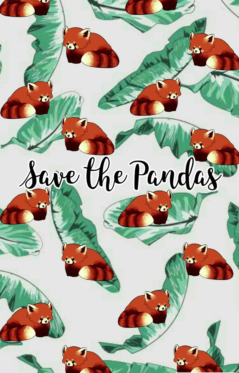 Cute Wallpaper, Red Panda, And Tumblr Image - Red Panda Wallpaper Cartoon - 819x1280 Wallpaper Cute Wallpaper, Red Panda, And Tumblr Image - Red Panda Wallpaper Cartoon - 819x1280 Wallpaper
