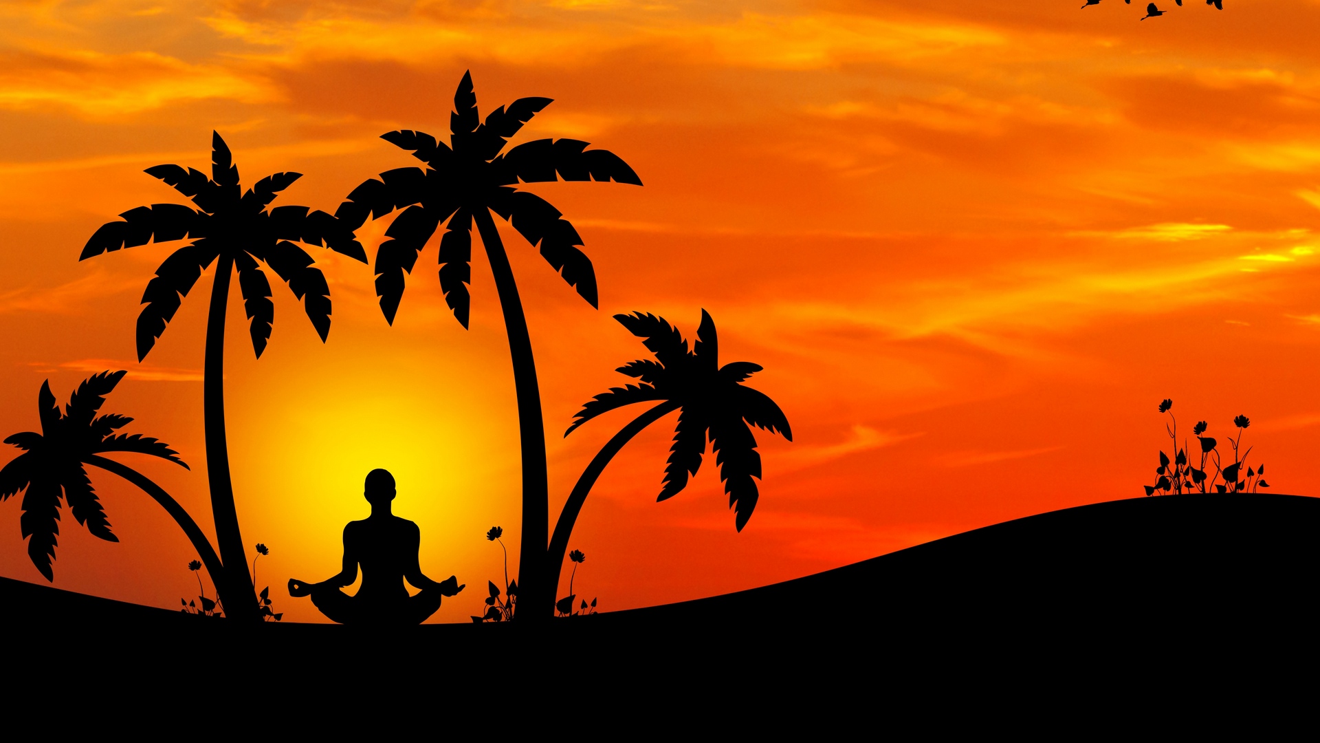 Wallpaper Meditation, Yoga, Silhouette, Palm Trees, - Beach Palm Tree Silhouette - HD Wallpaper 