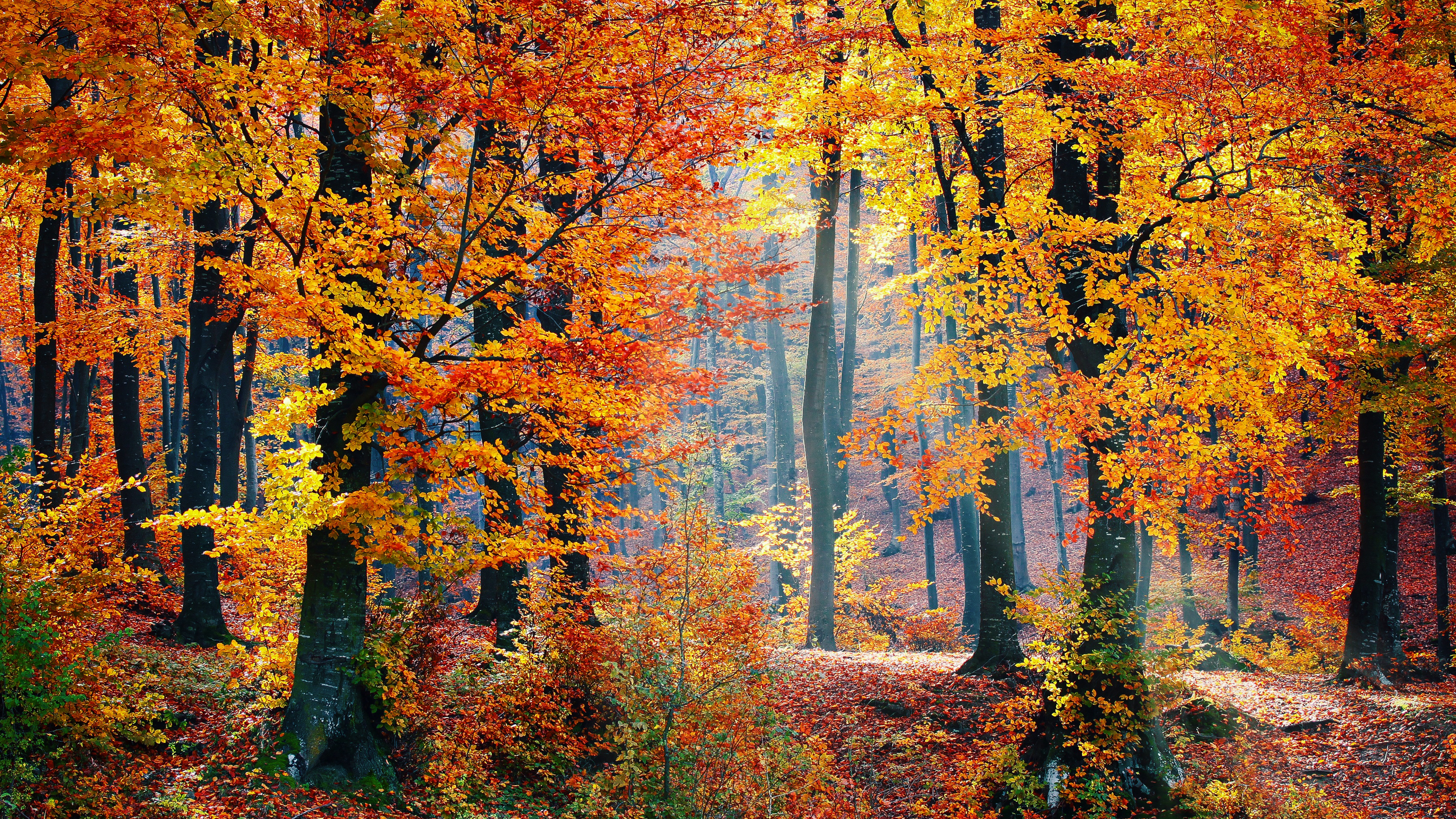 Killington Vermont - HD Wallpaper 