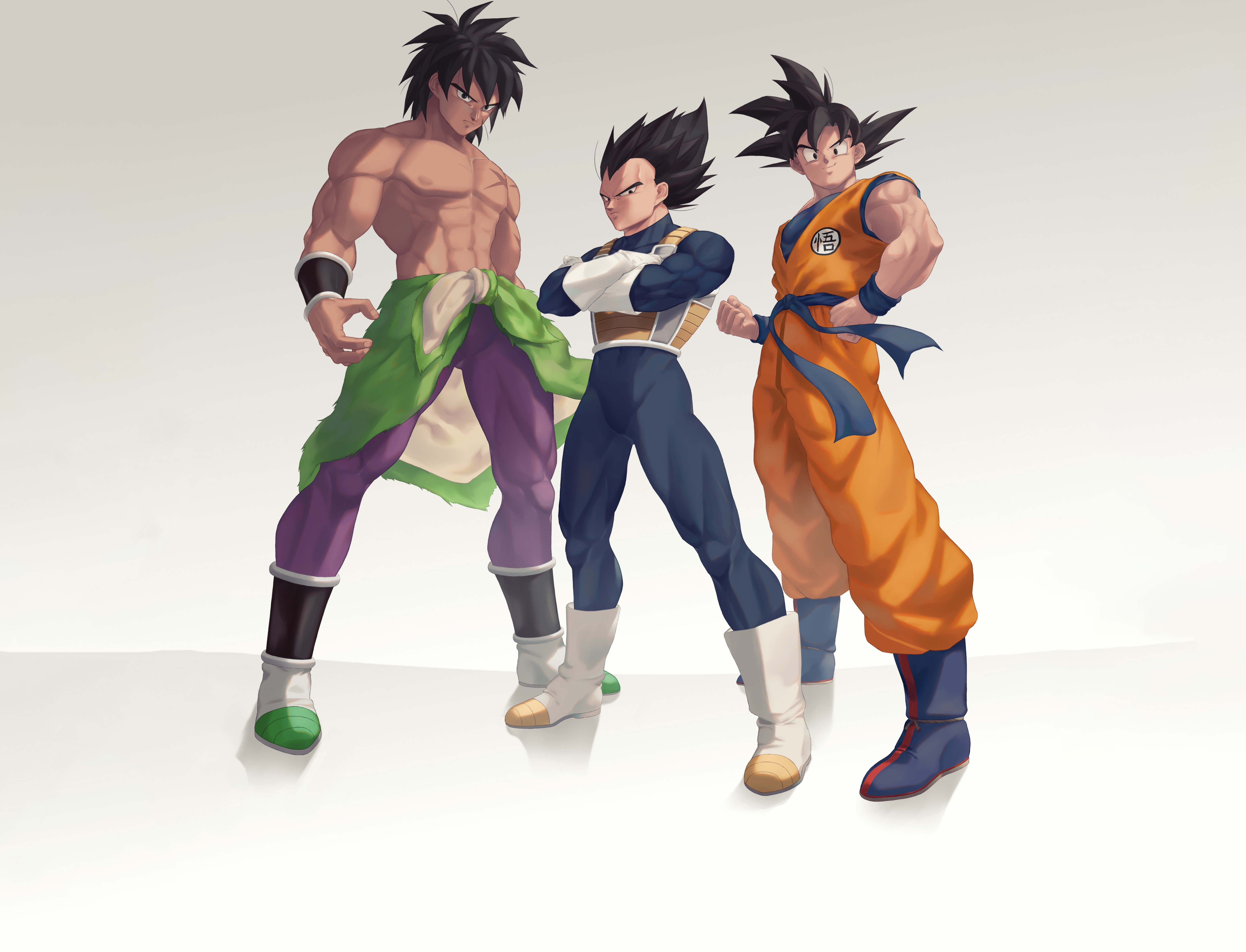 Goku Vegeta And Broly - HD Wallpaper 