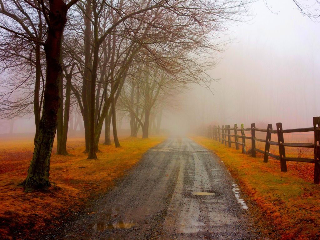 Foggy Road Autumn One Hd Wallpaper Pictures Backgrounds - Autumn Wallpaper Foggy - HD Wallpaper 