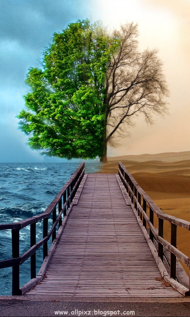 Dry Tree Vs Green Tree - HD Wallpaper 