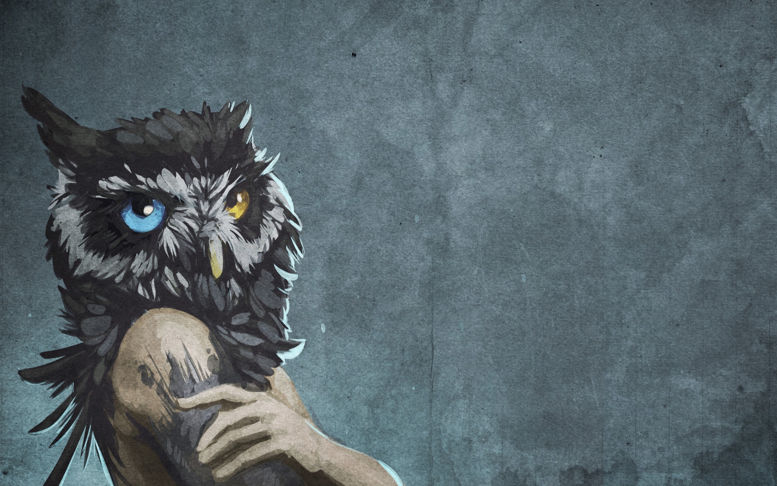 Wallpaper Girl, Owl, Head, Background, Faded - Human With Owl Head - HD Wallpaper 
