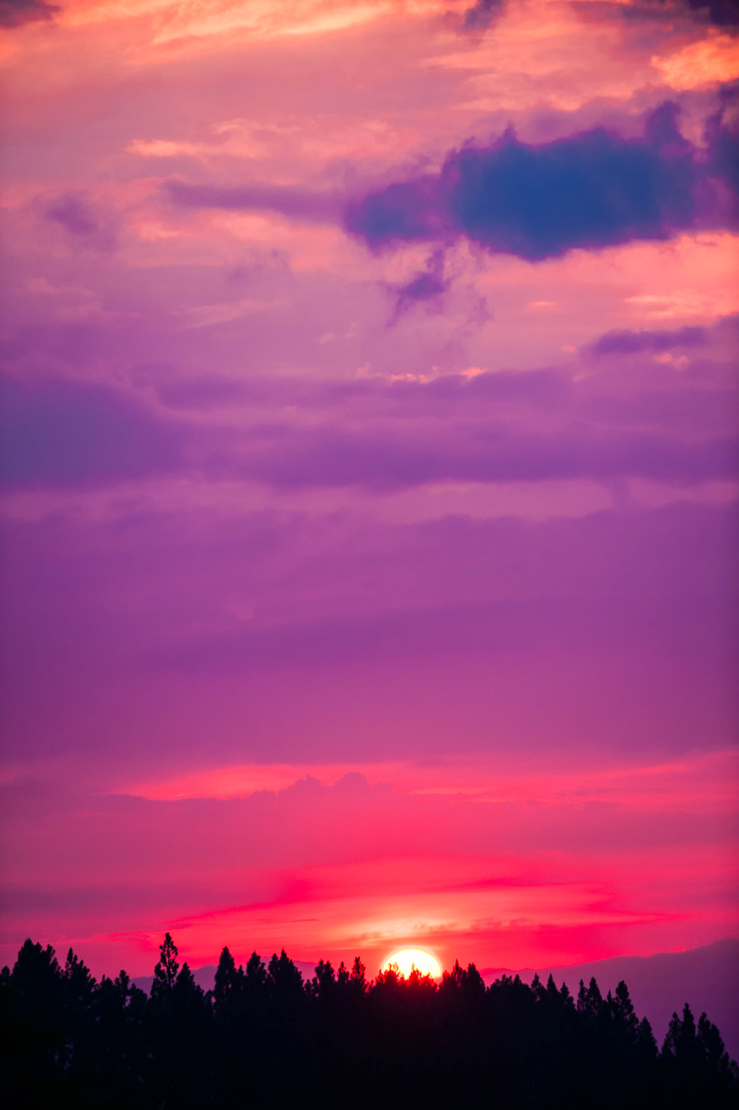 Wallpaper Sunset, Sky, Pink, Trees, Sun - Sky Pink Sunset - HD Wallpaper 