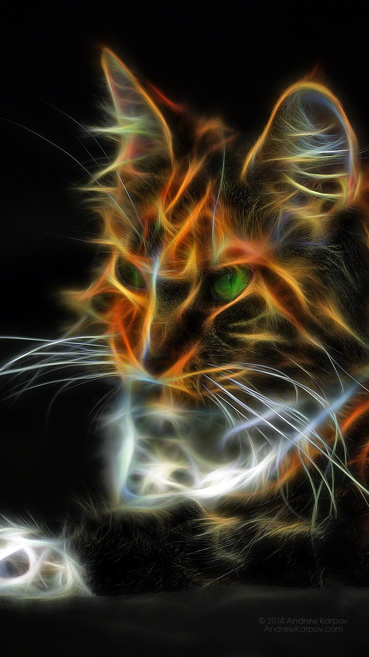 Qmobile Noir Z9 Plus Background - تصویر زمینه حیوانات فانتزی - HD Wallpaper 