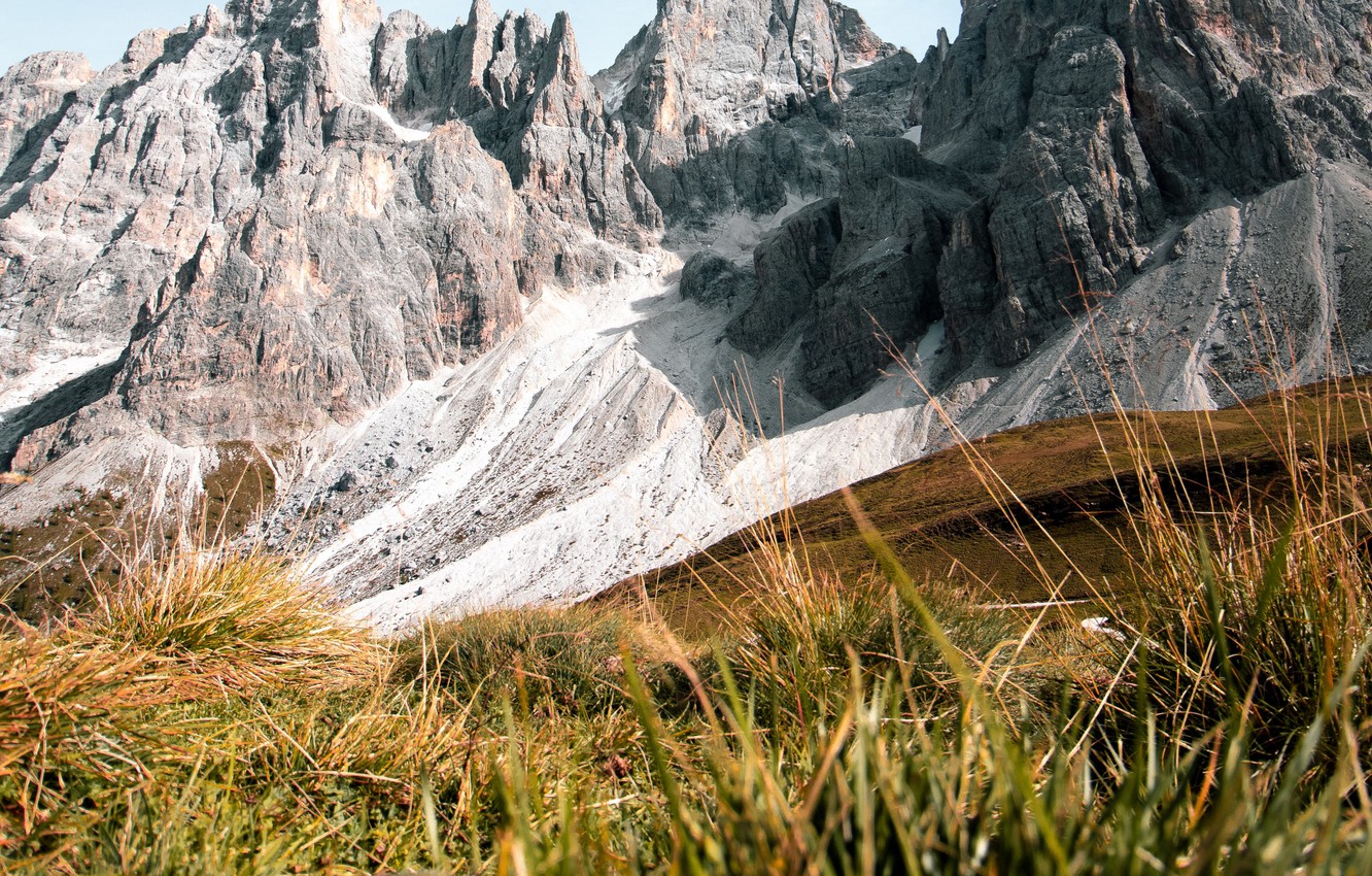 Photo Wallpaper Widescreen, Grass, Italy, Mountains, - Cimon Della Pala - HD Wallpaper 
