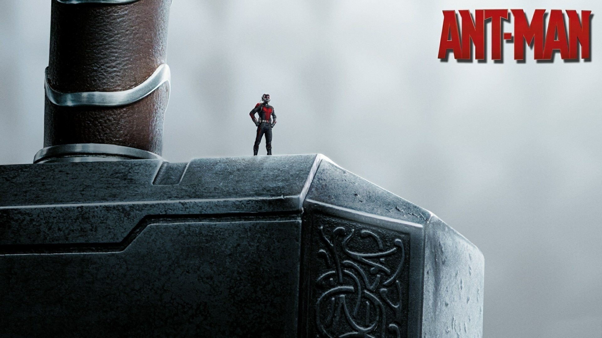 Wallpaper Superhero, Ant-man, Hammer - Ant Man On Thor Hammer - HD Wallpaper 